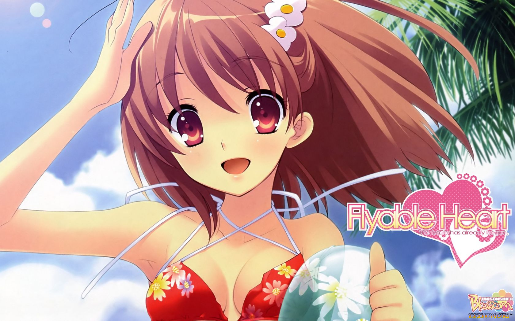 flyable, heart, аниме