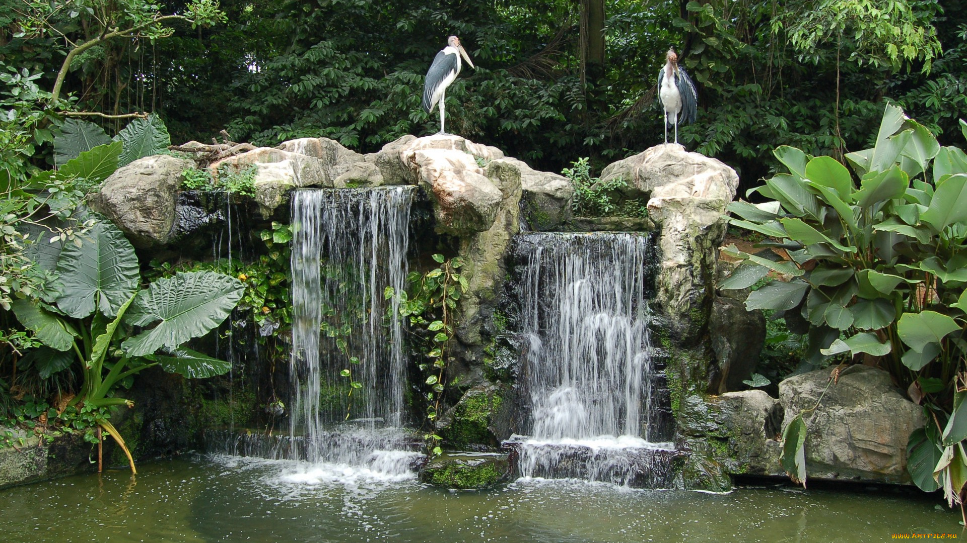 природа, водопады