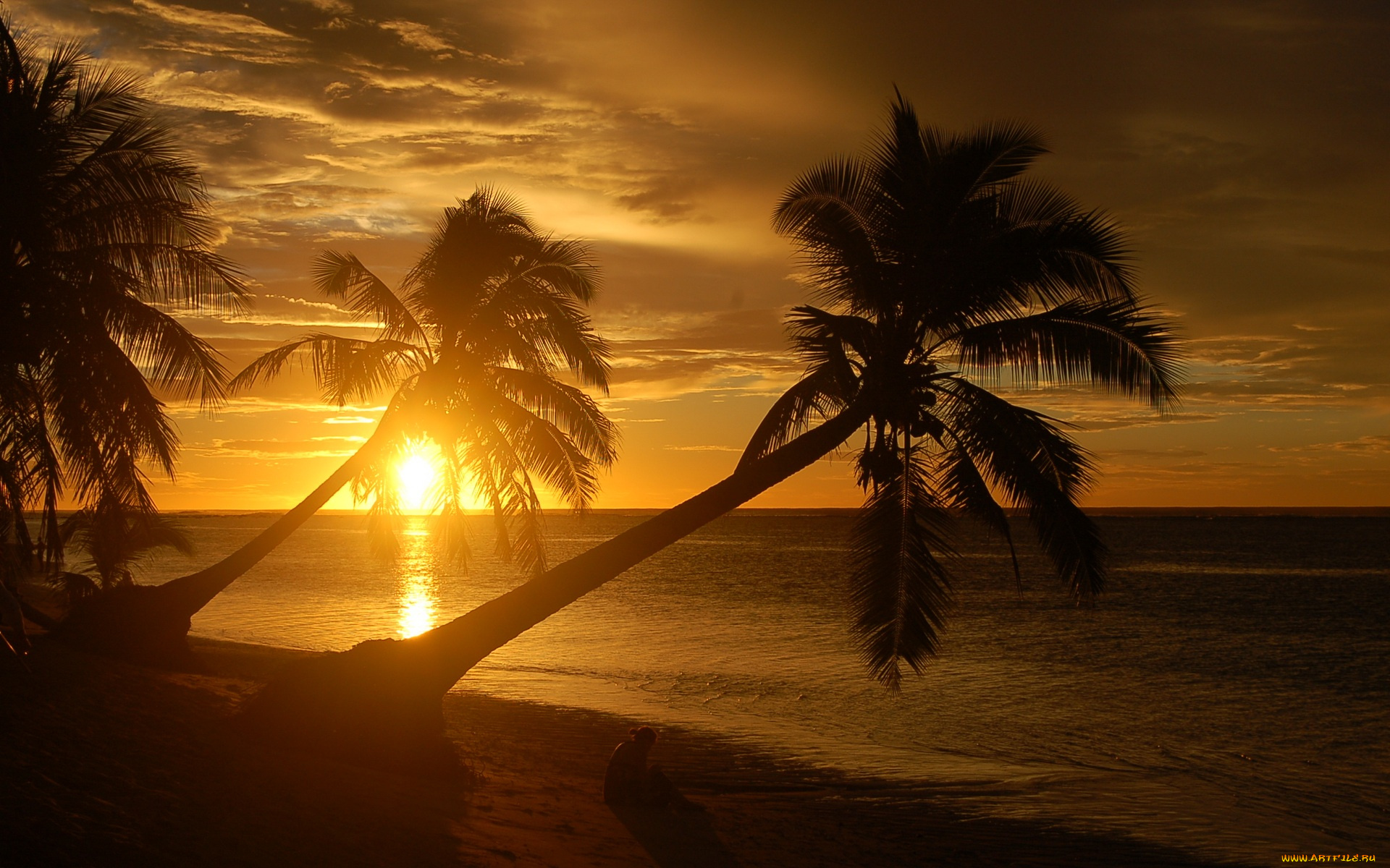 природа, восходы, закаты