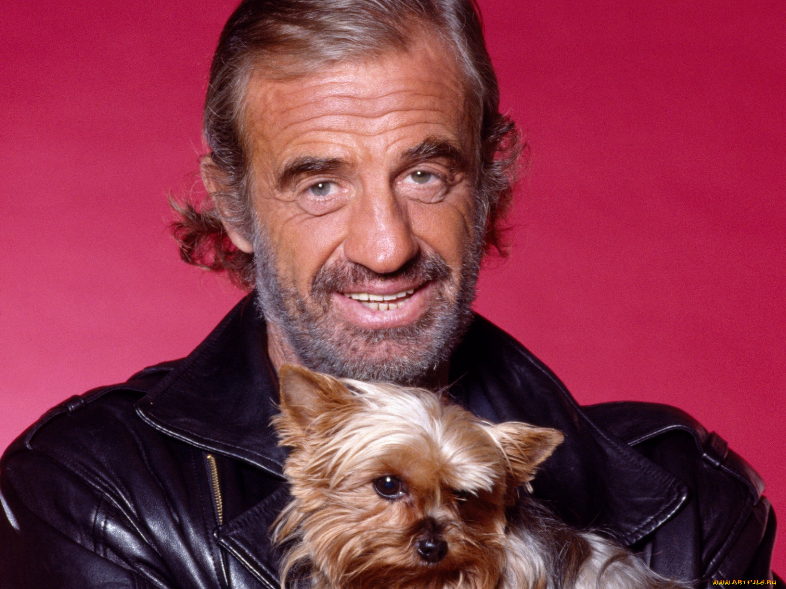 jean, paul, belmondo, мужчины