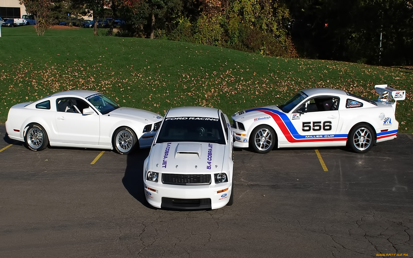 автомобили, mustang