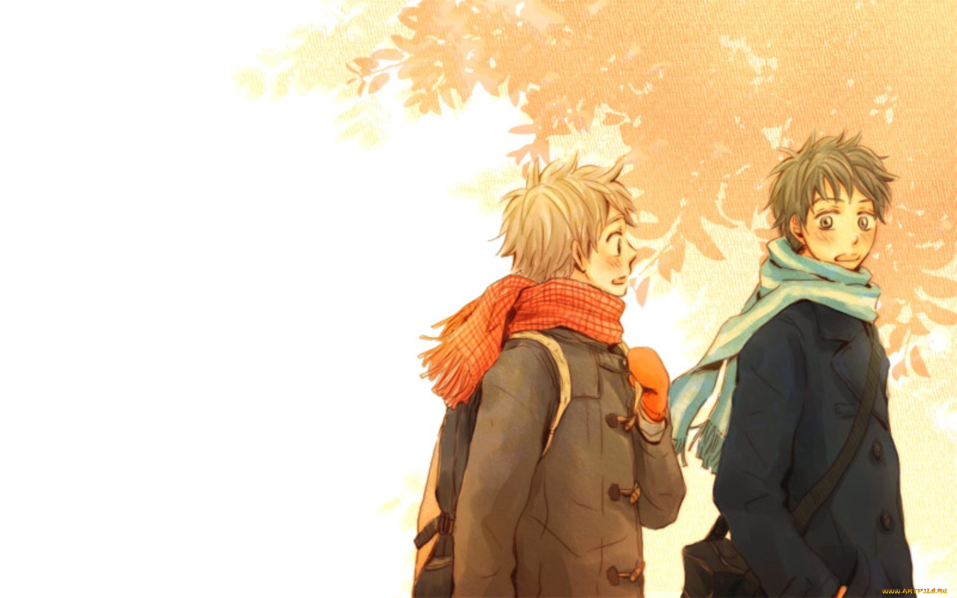 ookiku, furikabutte, аниме