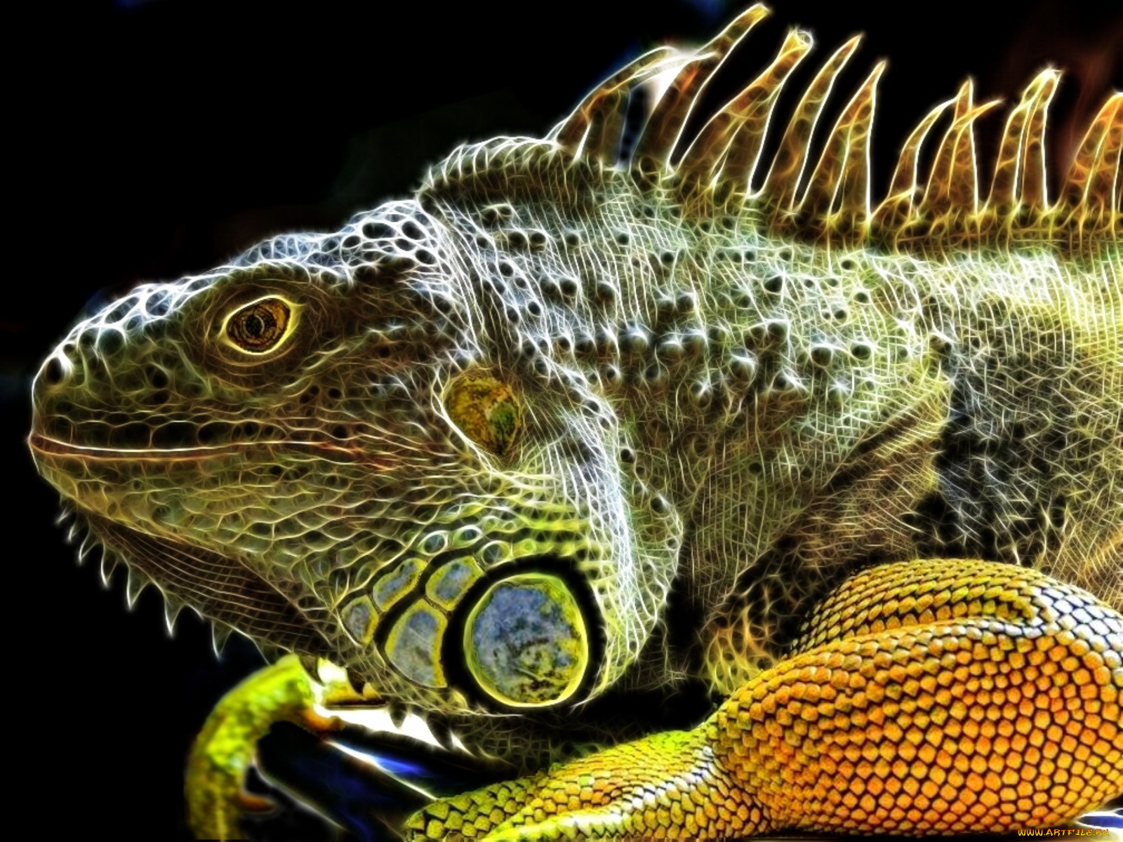 3д, графика, animals, животные