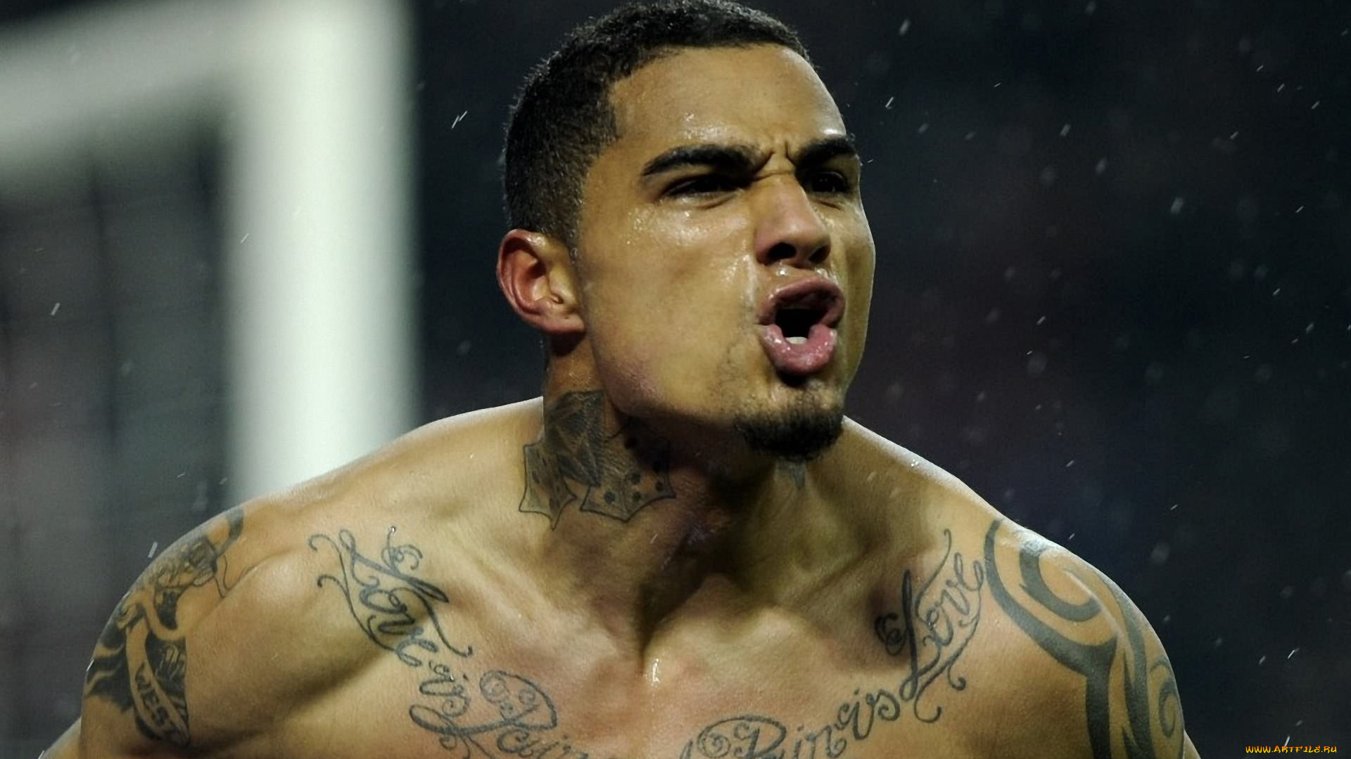 kevin, prince, boateng, мужчины