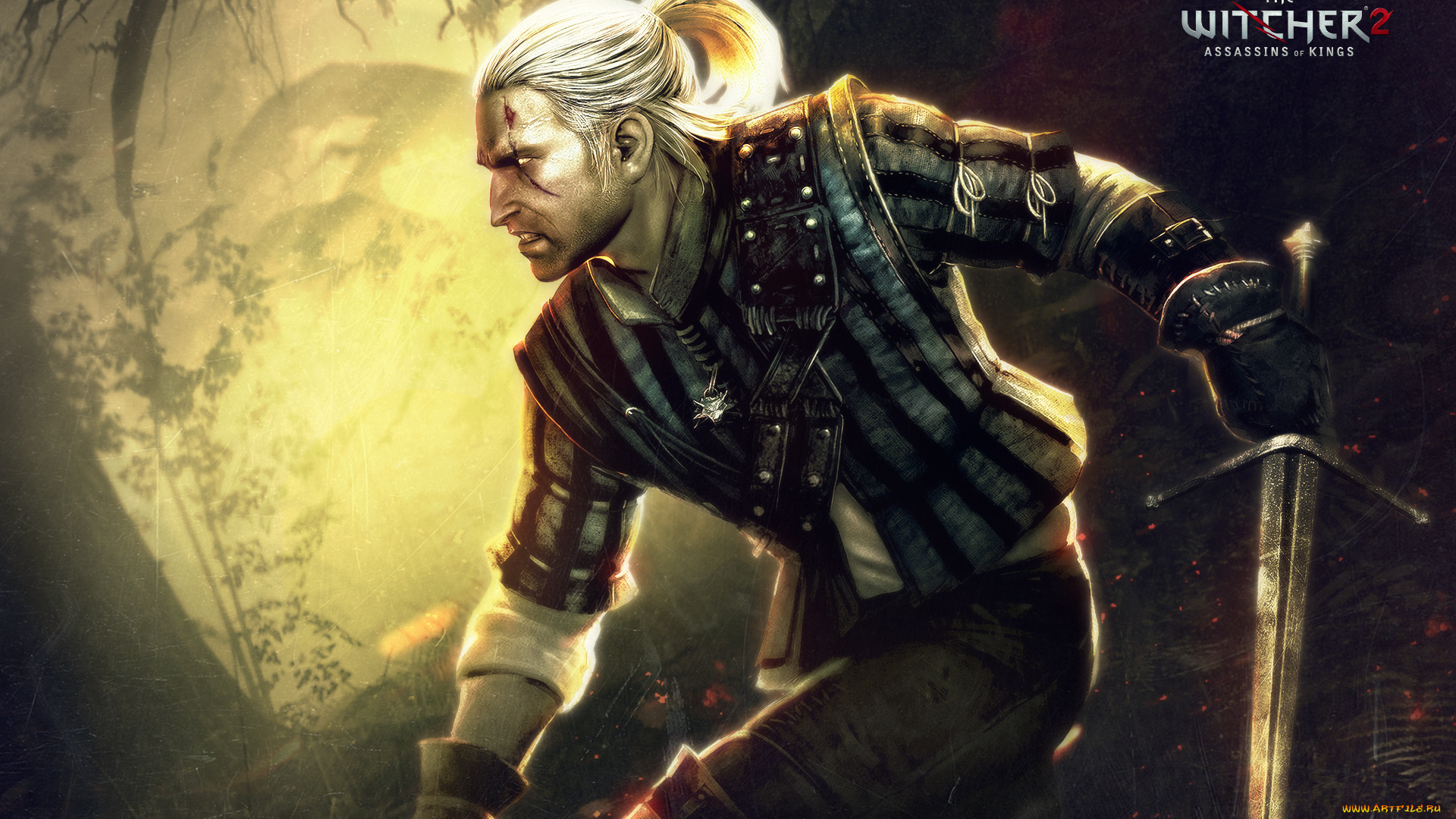 the, witcher, assassins, of, kings, видео, игры