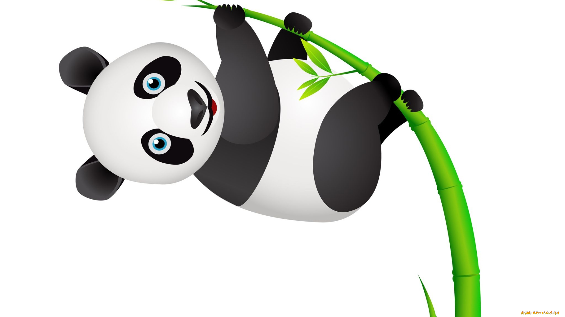 векторная, графика, панда