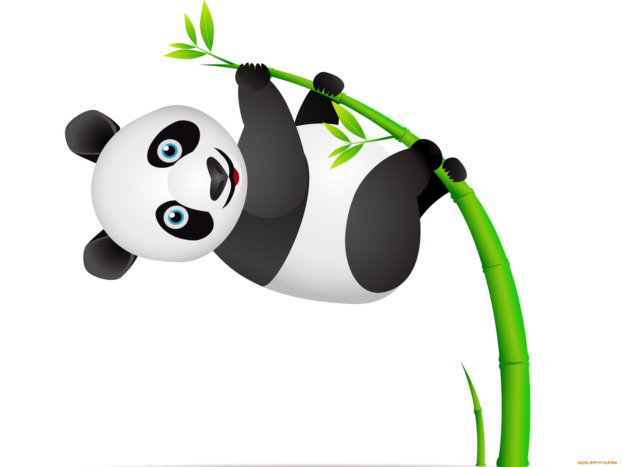 векторная, графика, панда