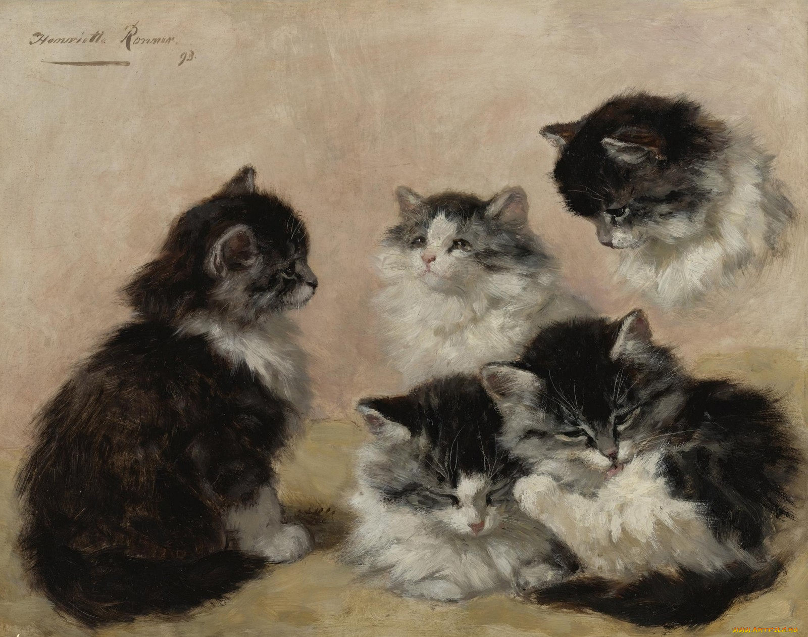 рисованные, henriette, ronner, knip, ronner-knip