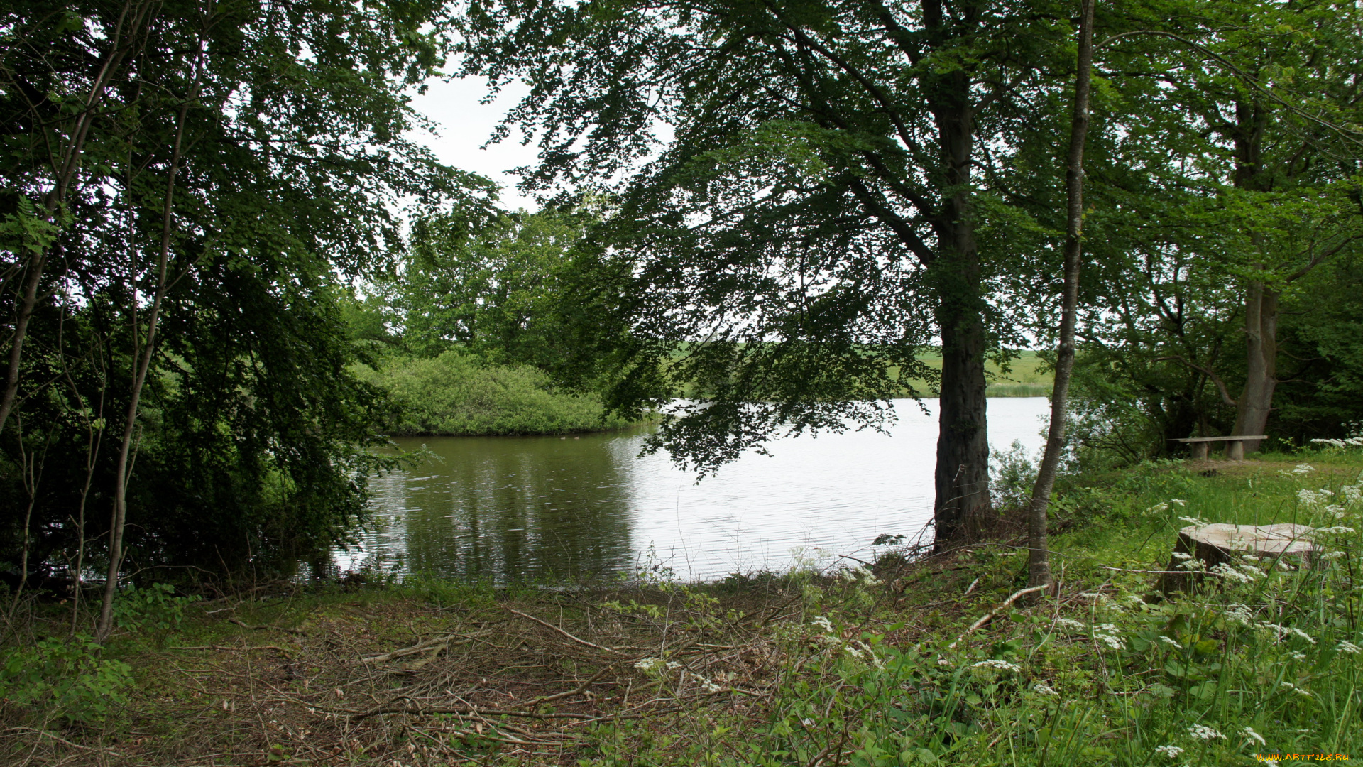 дания, grаsten, природа, реки, озера, река, берег, деревья