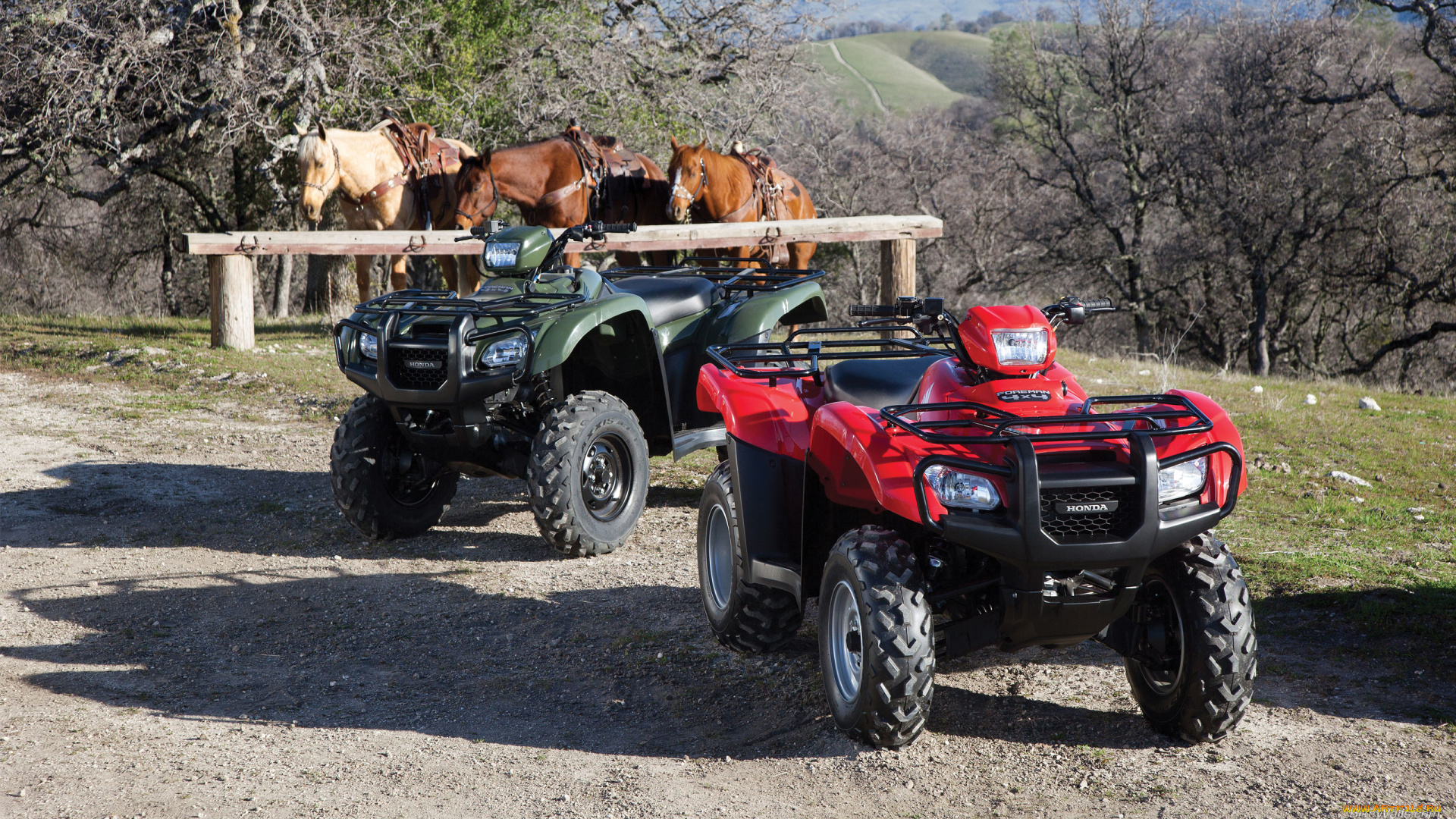 мотоциклы, квадроциклы, кони, живые, железные