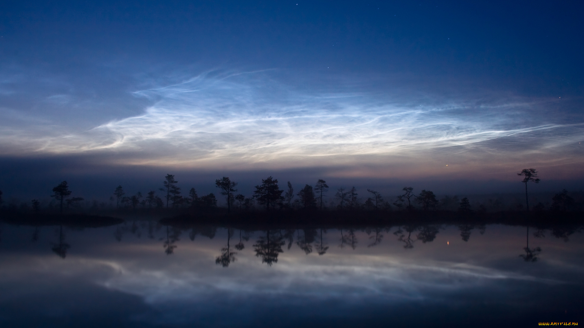 природа, реки, озера, ночь, озеро, лес, туман