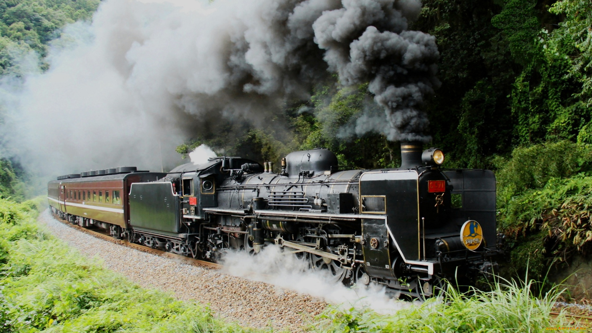 техника, паровозы, паровоз, дым, деревья