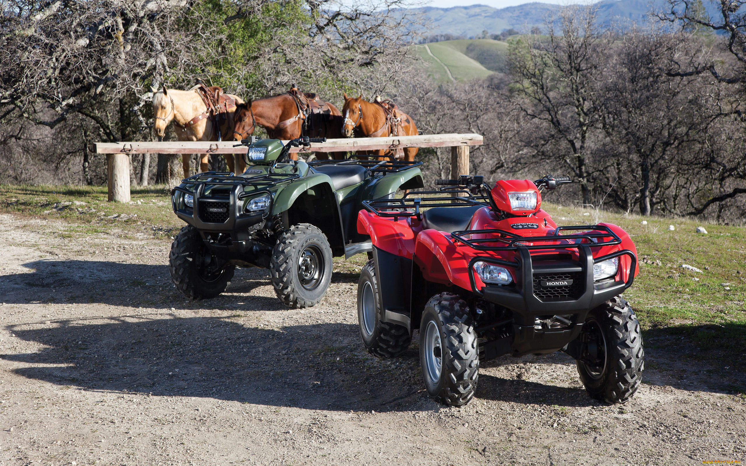 мотоциклы, квадроциклы, кони, живые, железные