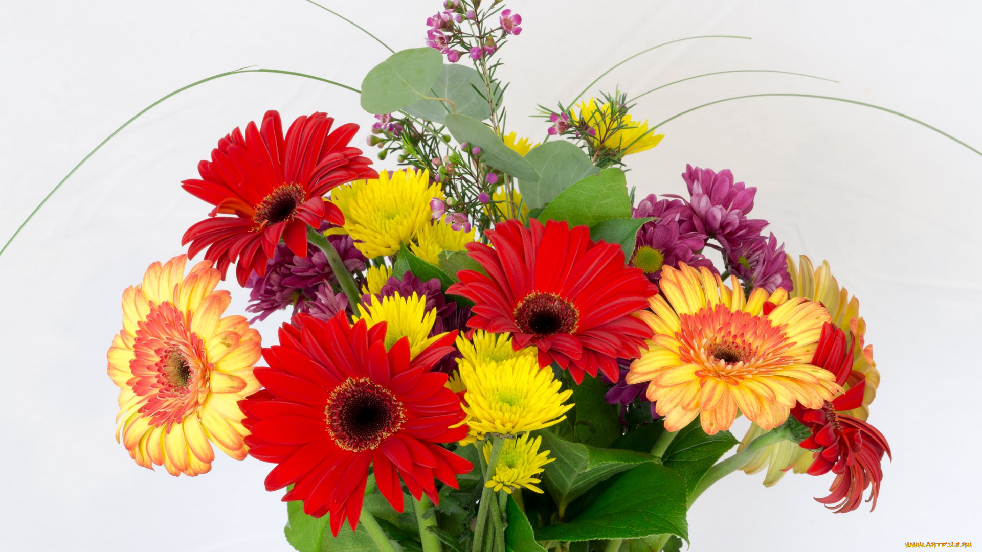 цветы, букеты, композиции, хризантемы, герберы