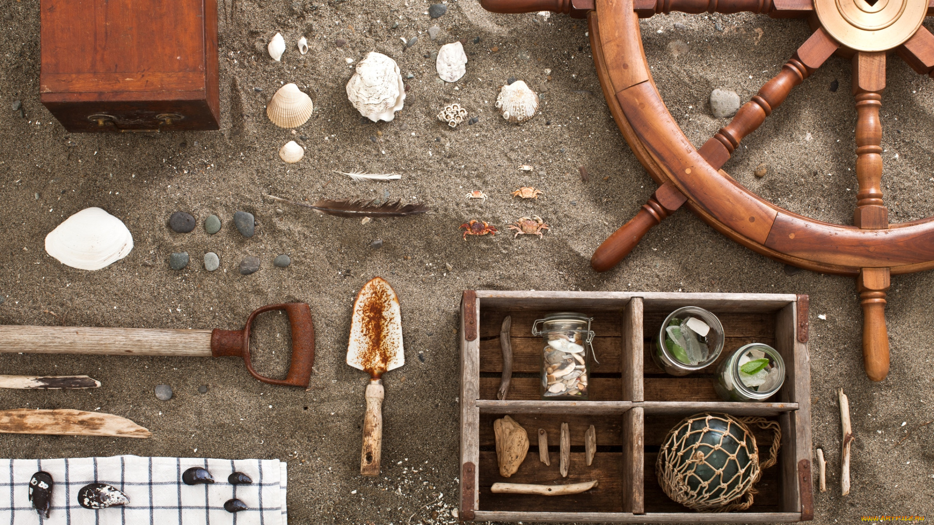 разное, другое, штурвал, ракушки, песок, крабы