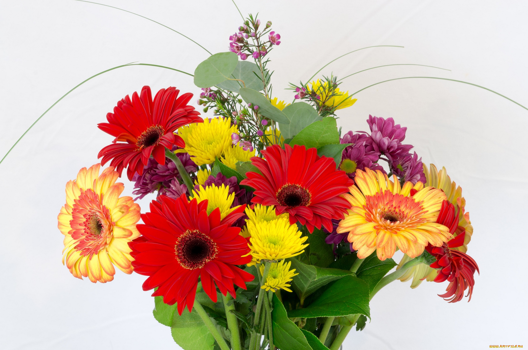цветы, букеты, композиции, хризантемы, герберы