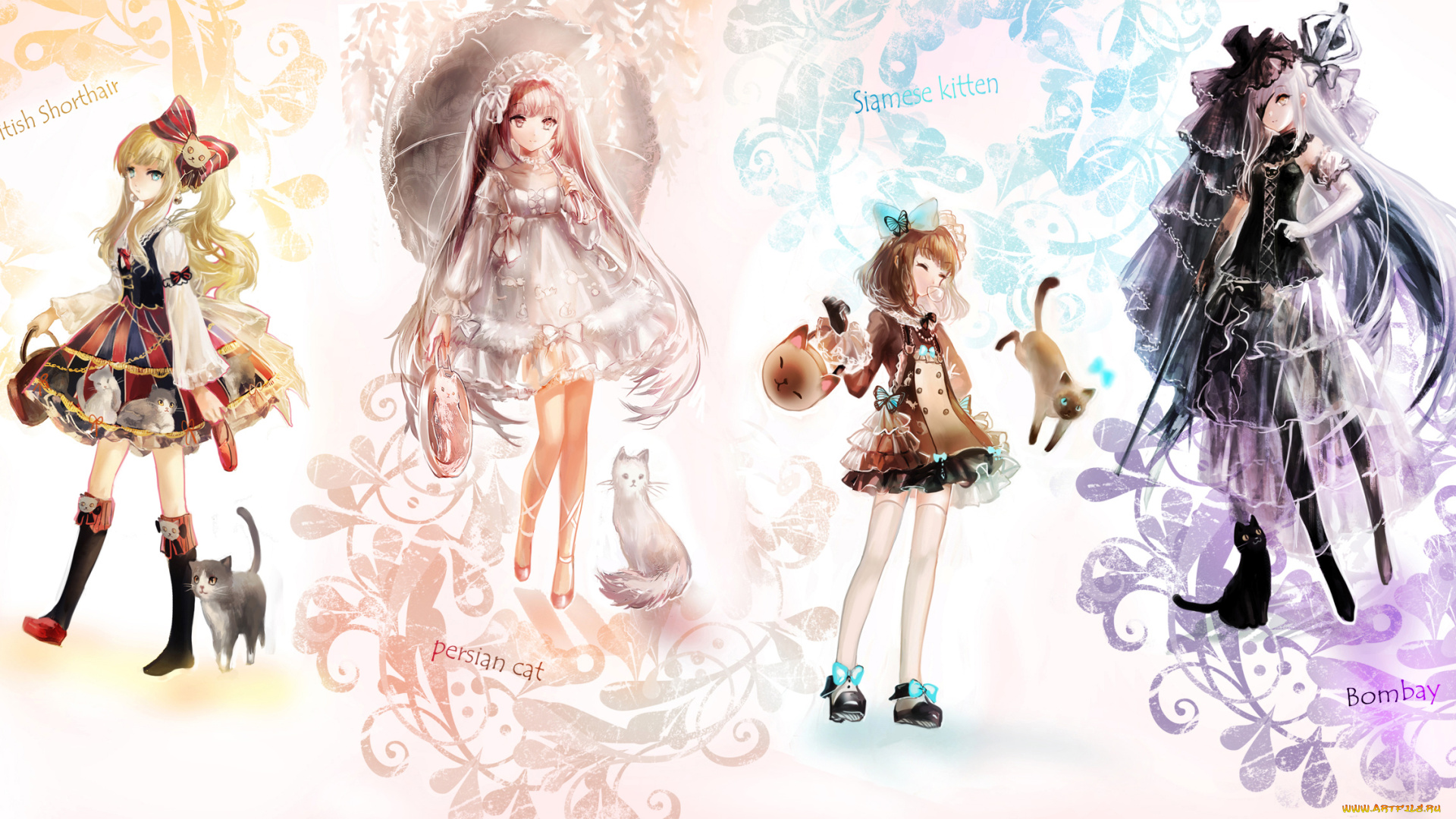 аниме, -animals, &, creatures, девушки, арт, кошки