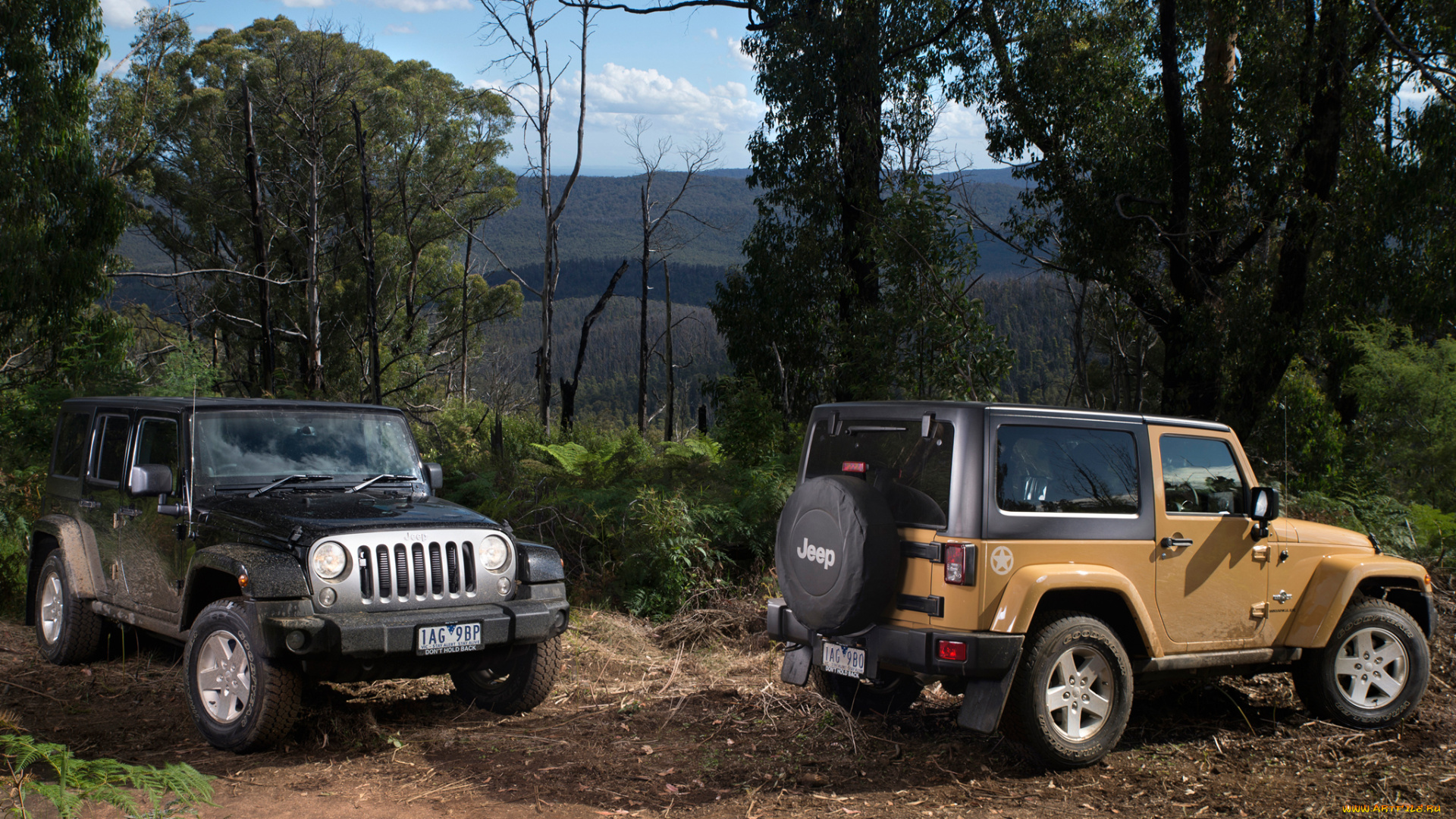 автомобили, jeep, jk, wrangler