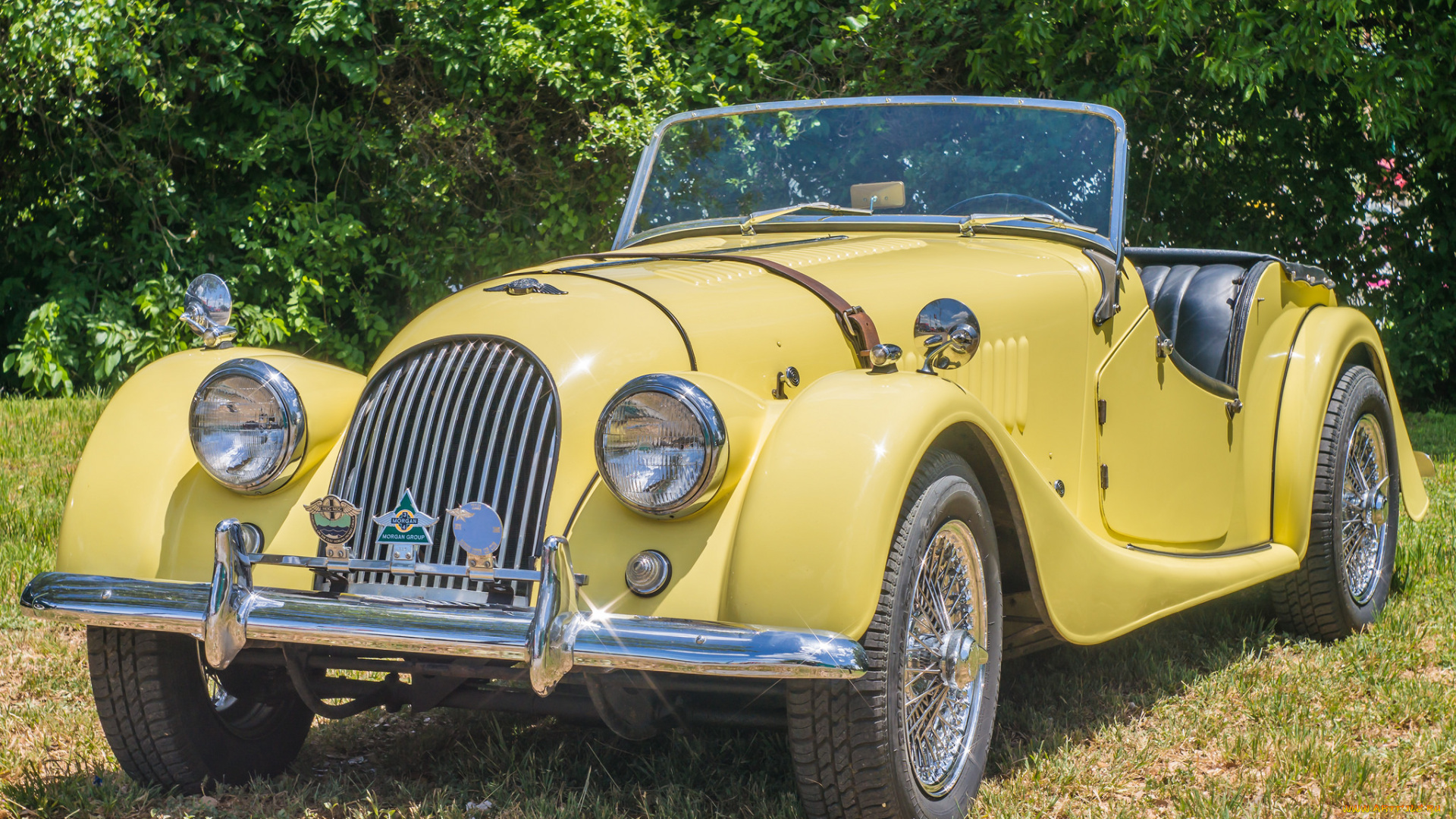 morgan, автомобили, лужайка, авто, желтый