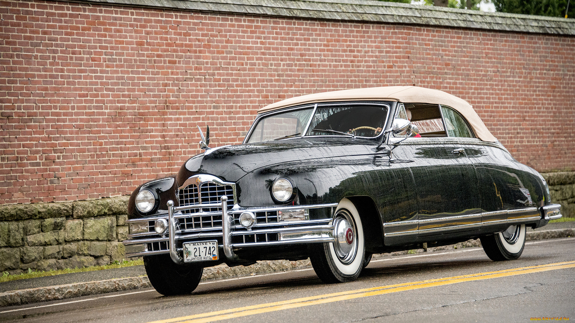 packard, cabrio, автомобили, packard, автопробег, выставка, автошоу