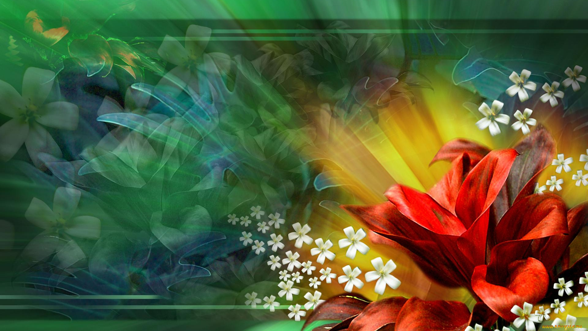 разное, компьютерный, дизайн, цветы, фон