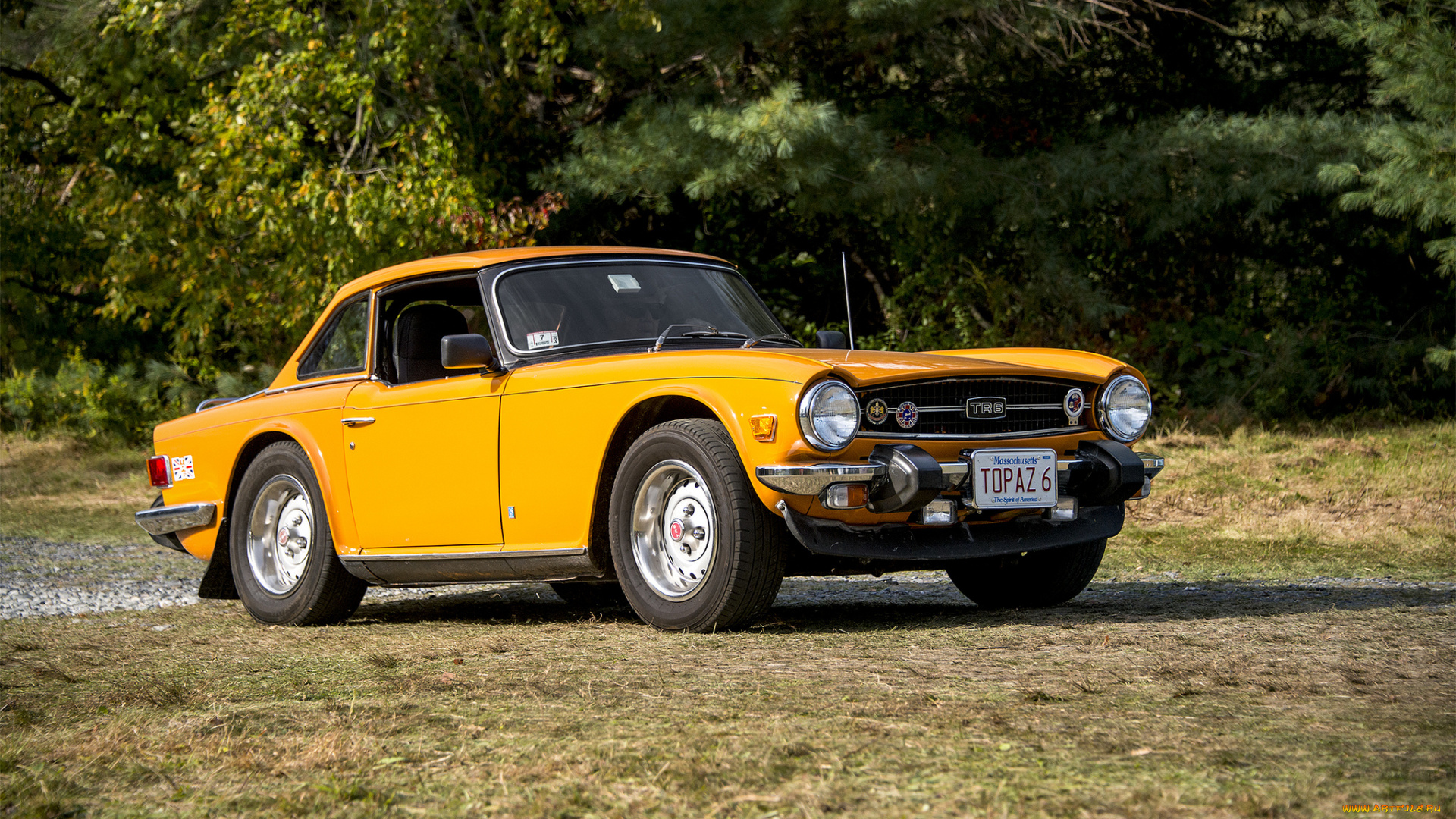 triumph, tr6, автомобили, triumph, автопробег, выставка, автошоу