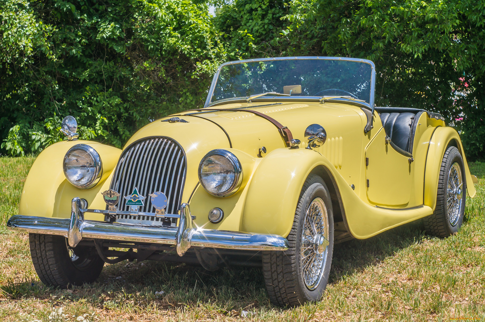 morgan, автомобили, лужайка, авто, желтый