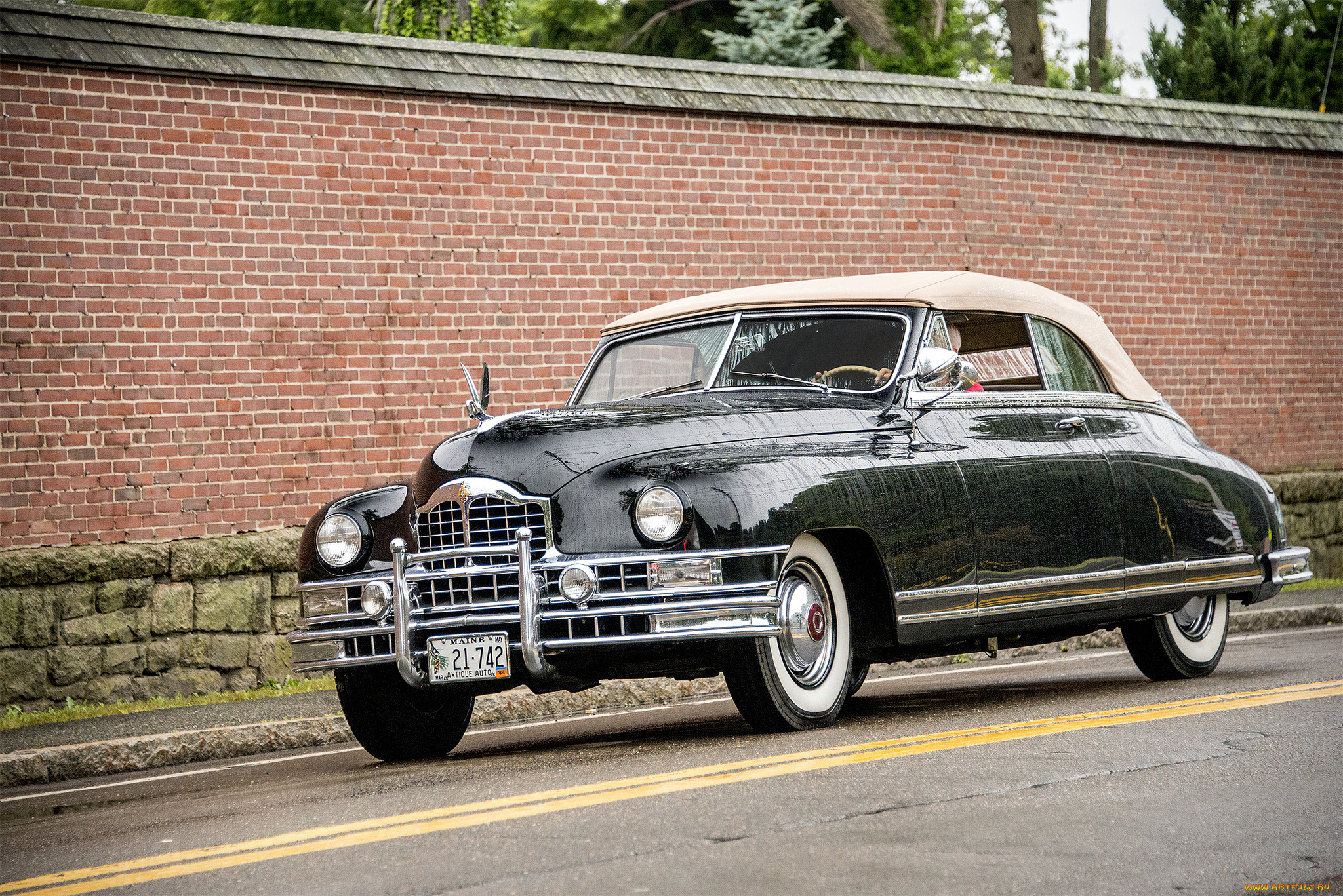 packard, cabrio, автомобили, packard, автопробег, выставка, автошоу