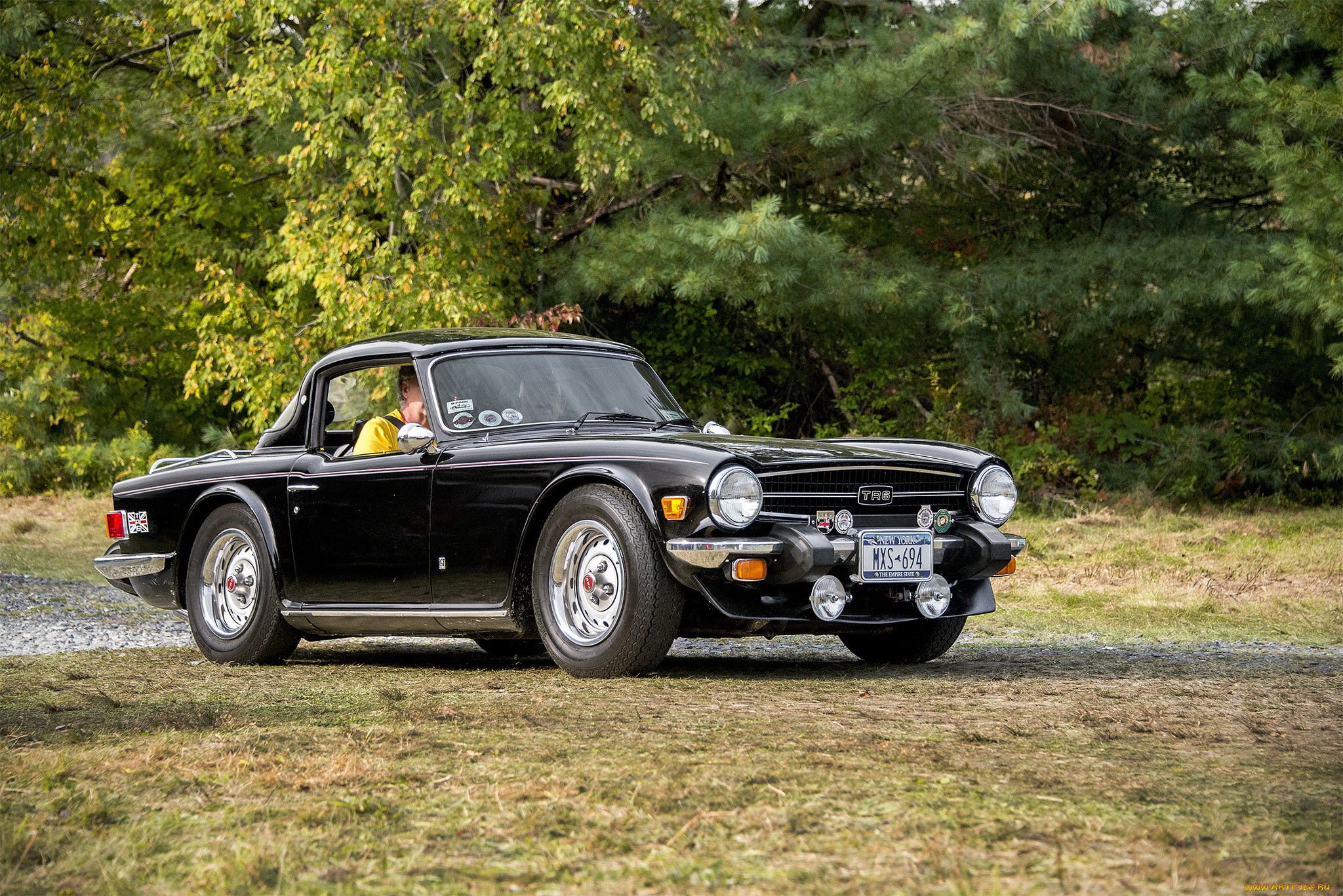 triumph, tr6, автомобили, triumph, автопробег, автошоу, выставка