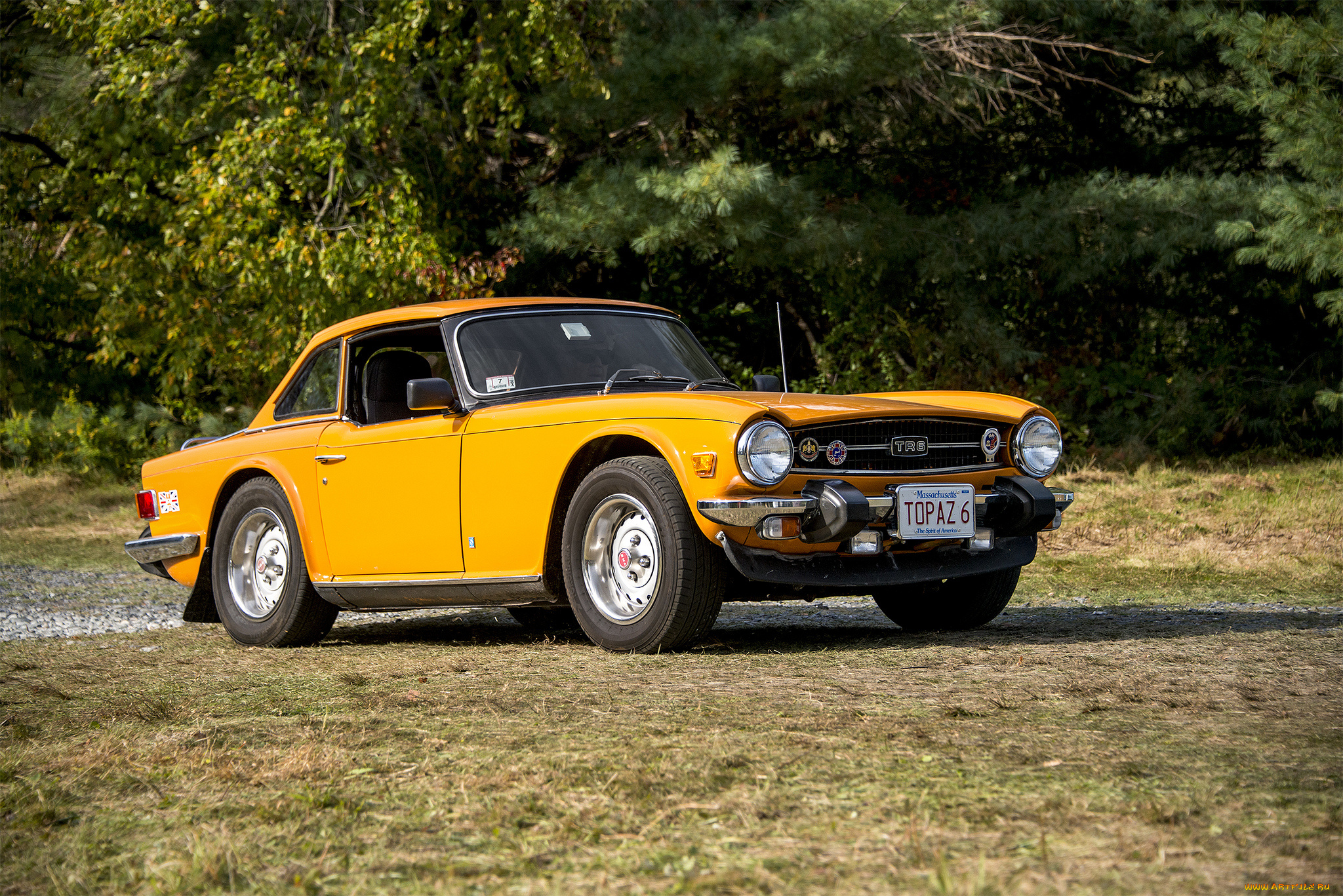 triumph, tr6, автомобили, triumph, автопробег, выставка, автошоу
