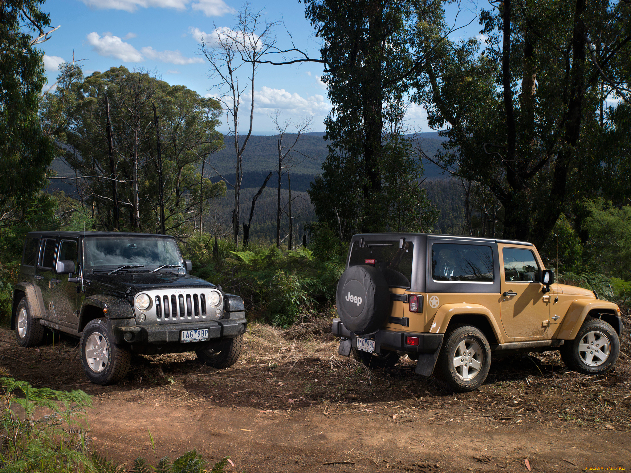 автомобили, jeep, jk, wrangler