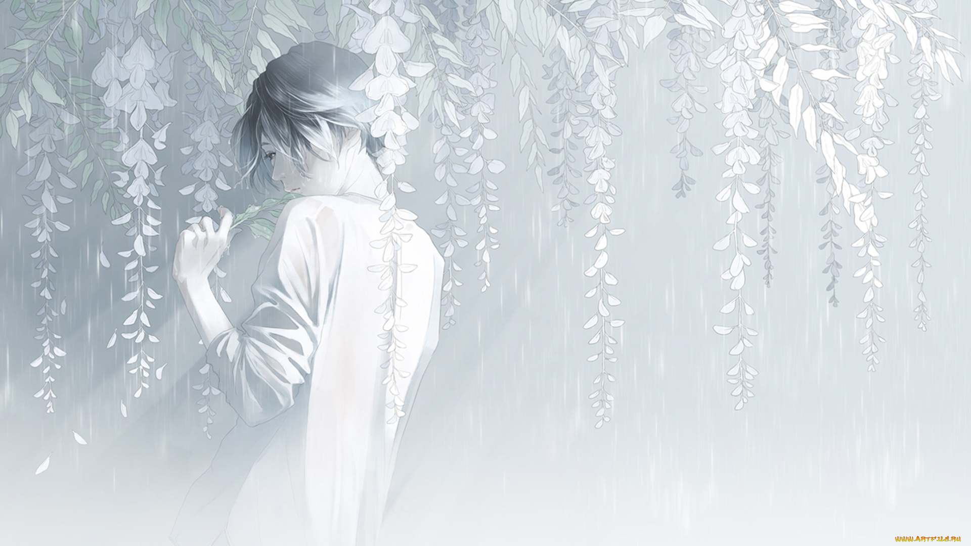 аниме, unknown, , другое, глициния, вистерия, парень, дождь, re, арт