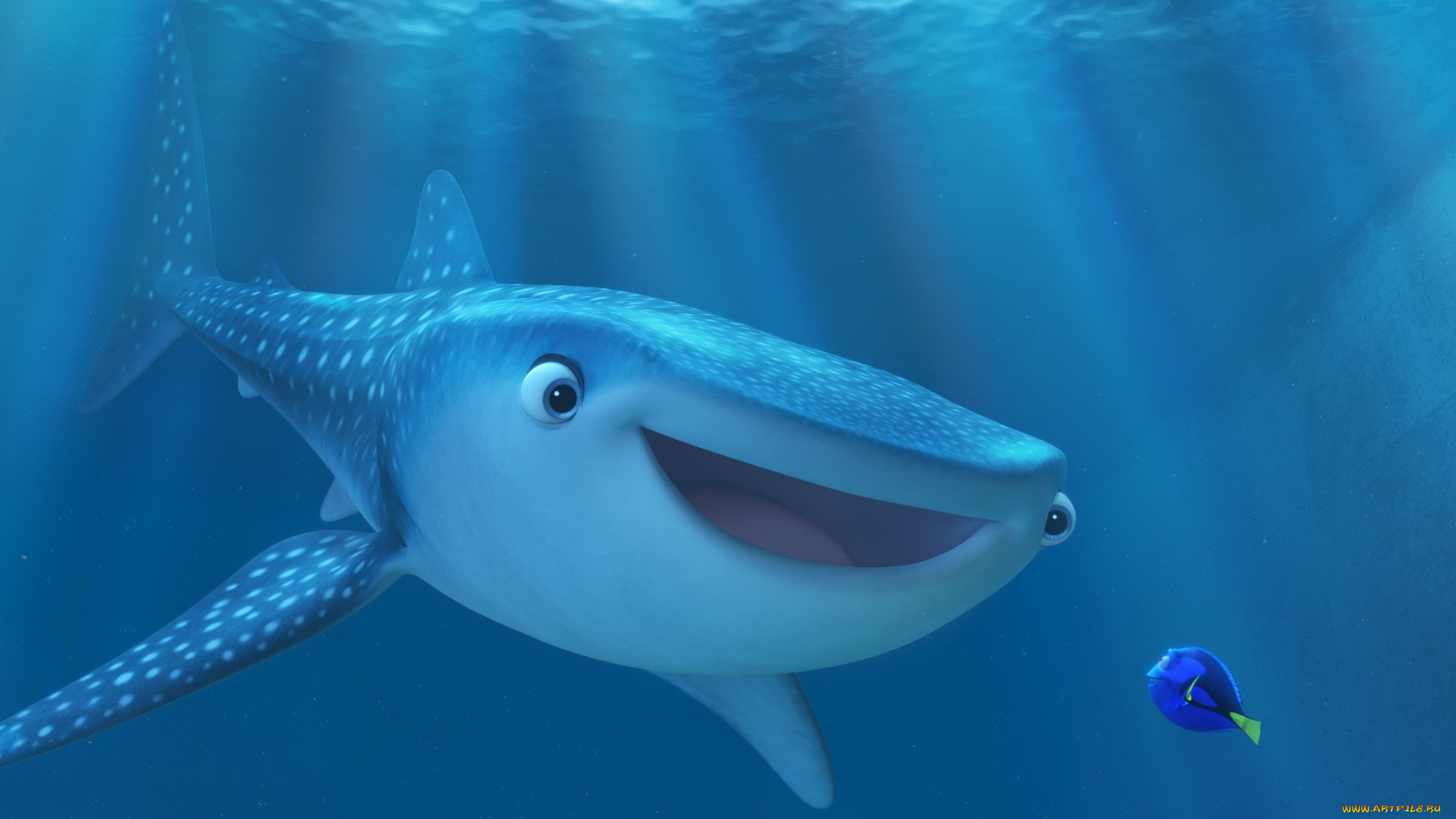 мультфильмы, finding, dory, finding, dory, pixar, disney