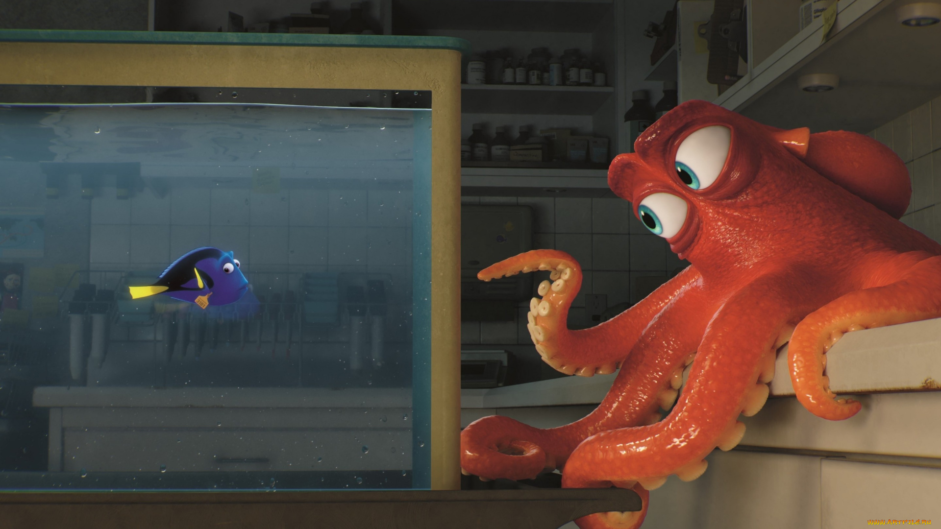 мультфильмы, finding, dory, finding, dory, pixar, disney