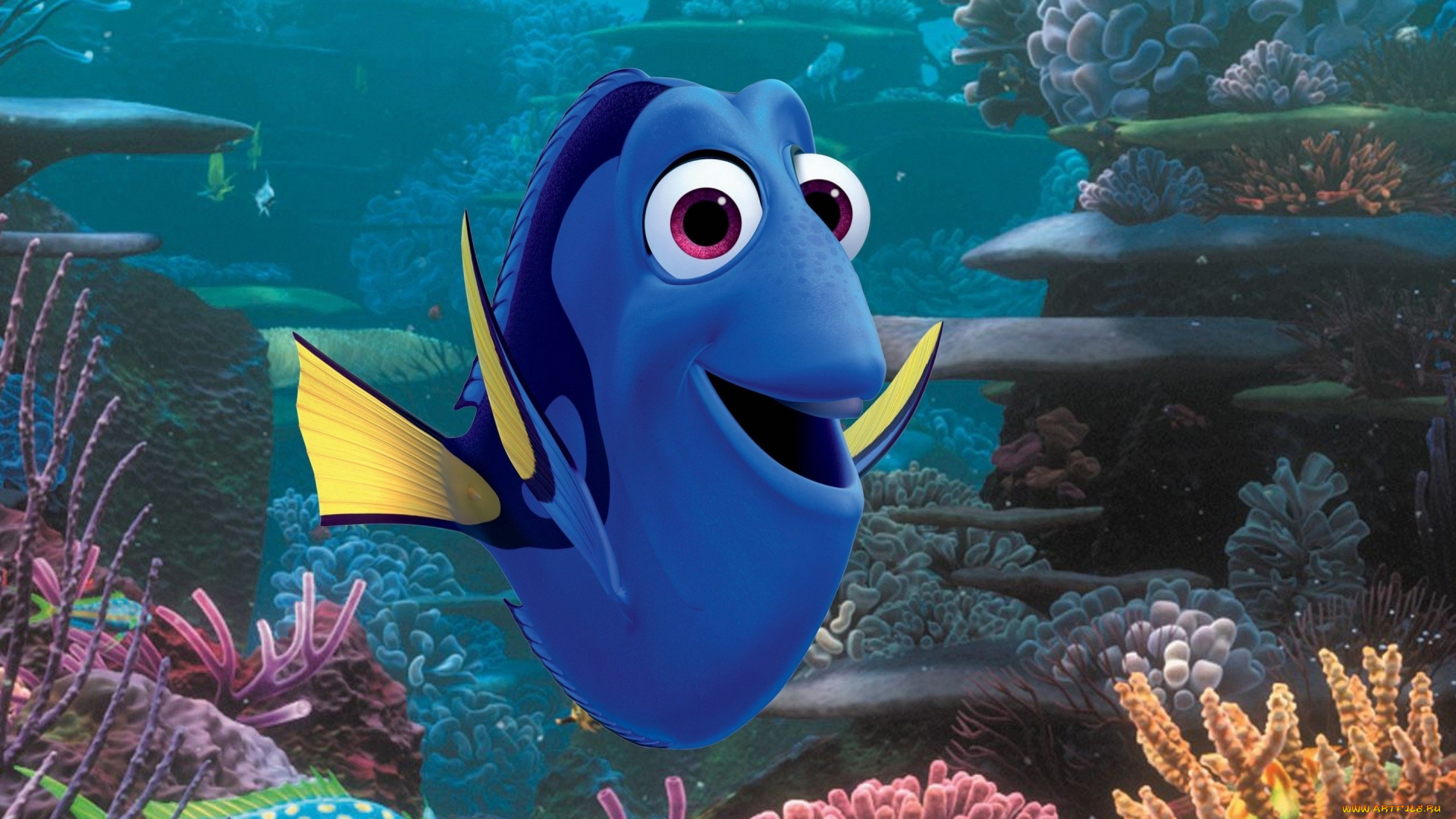 мультфильмы, finding, dory, finding, dory, pixar, disney