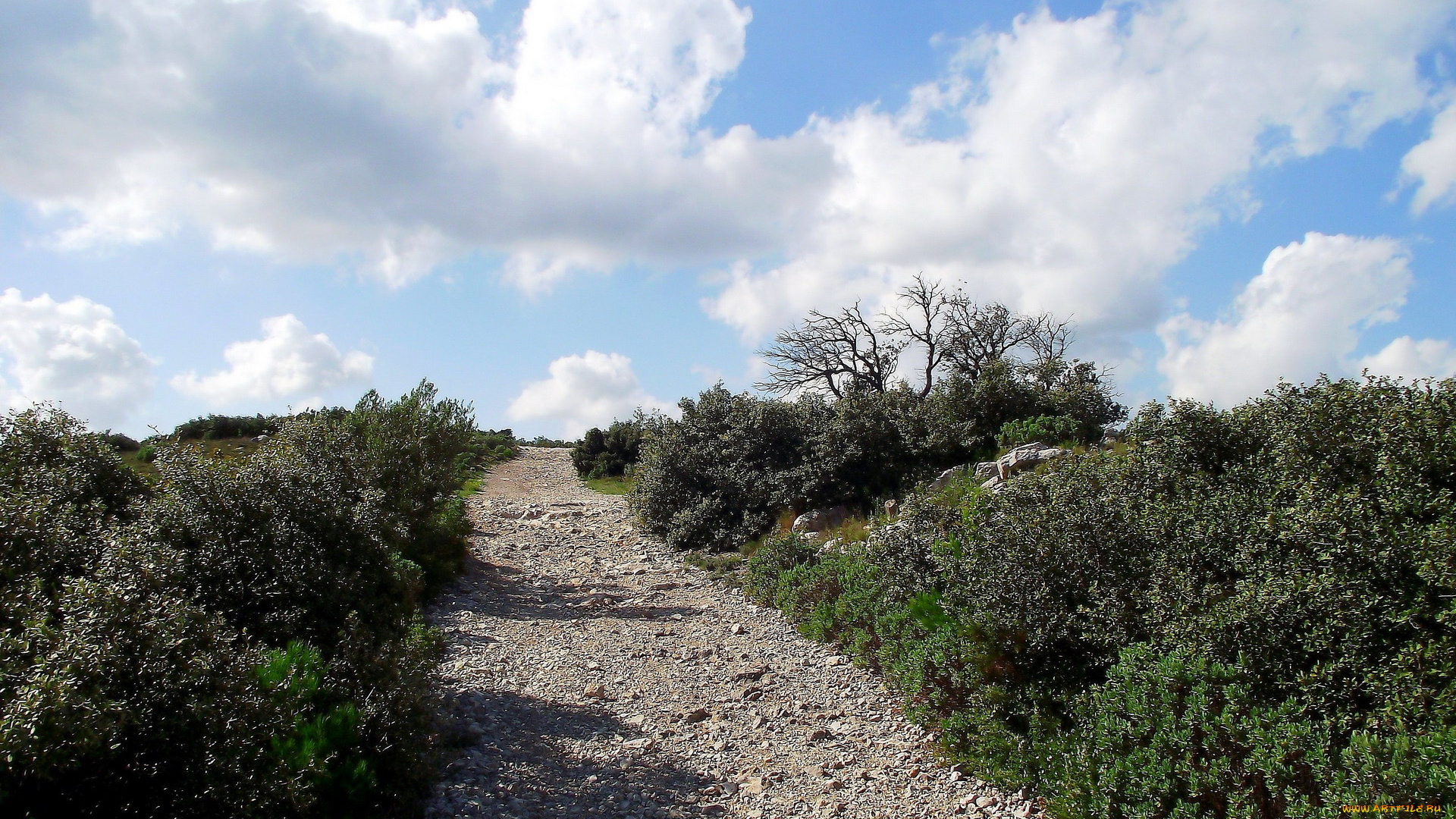 природа, дороги, кусты, облака