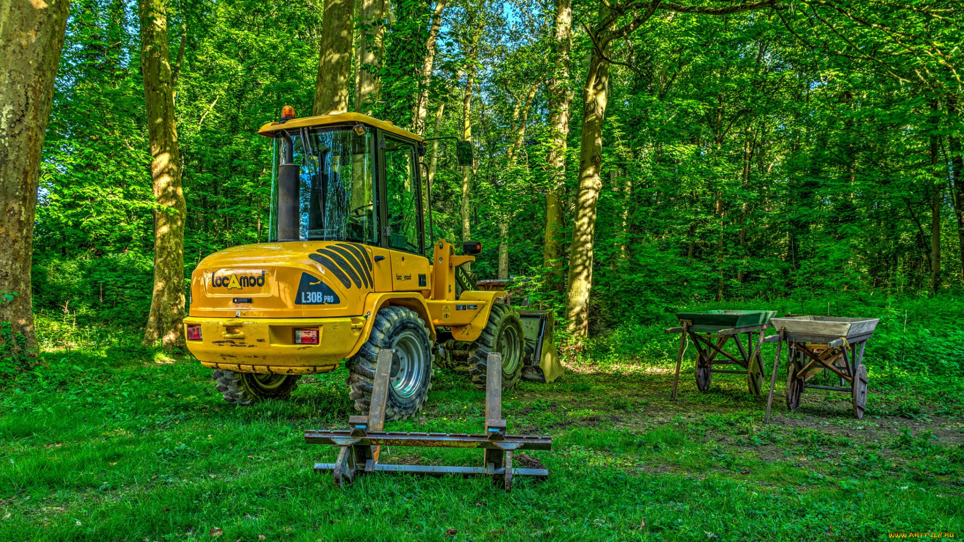 техника, фронтальные, погрузчики, лес, машина