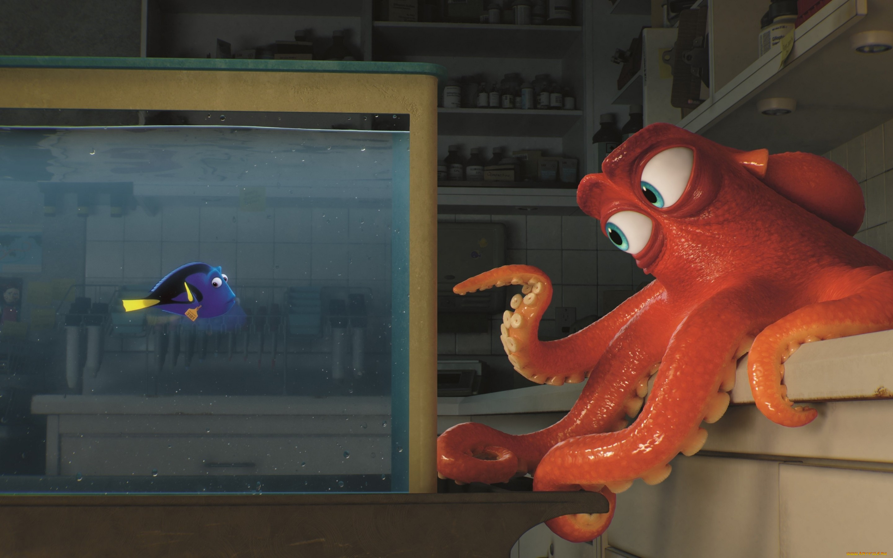 мультфильмы, finding, dory, finding, dory, pixar, disney
