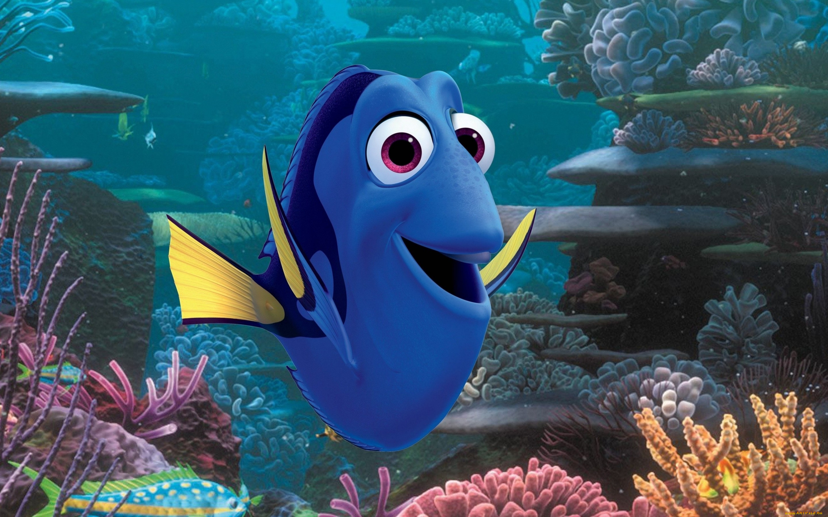 мультфильмы, finding, dory, finding, dory, pixar, disney