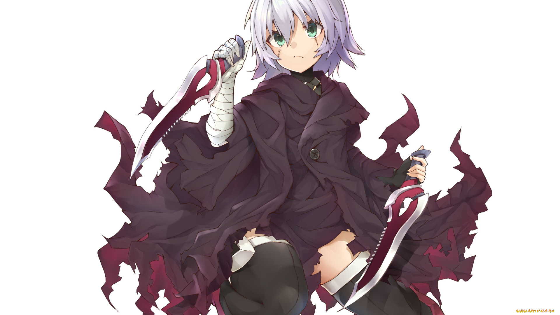 аниме, fate, stay, night, black, assassin