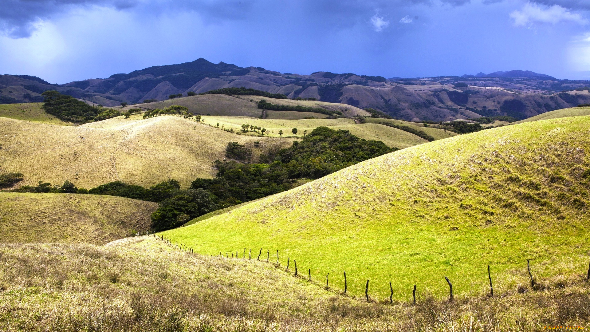 природа, луга, горы, поля, холмы, коста-рика