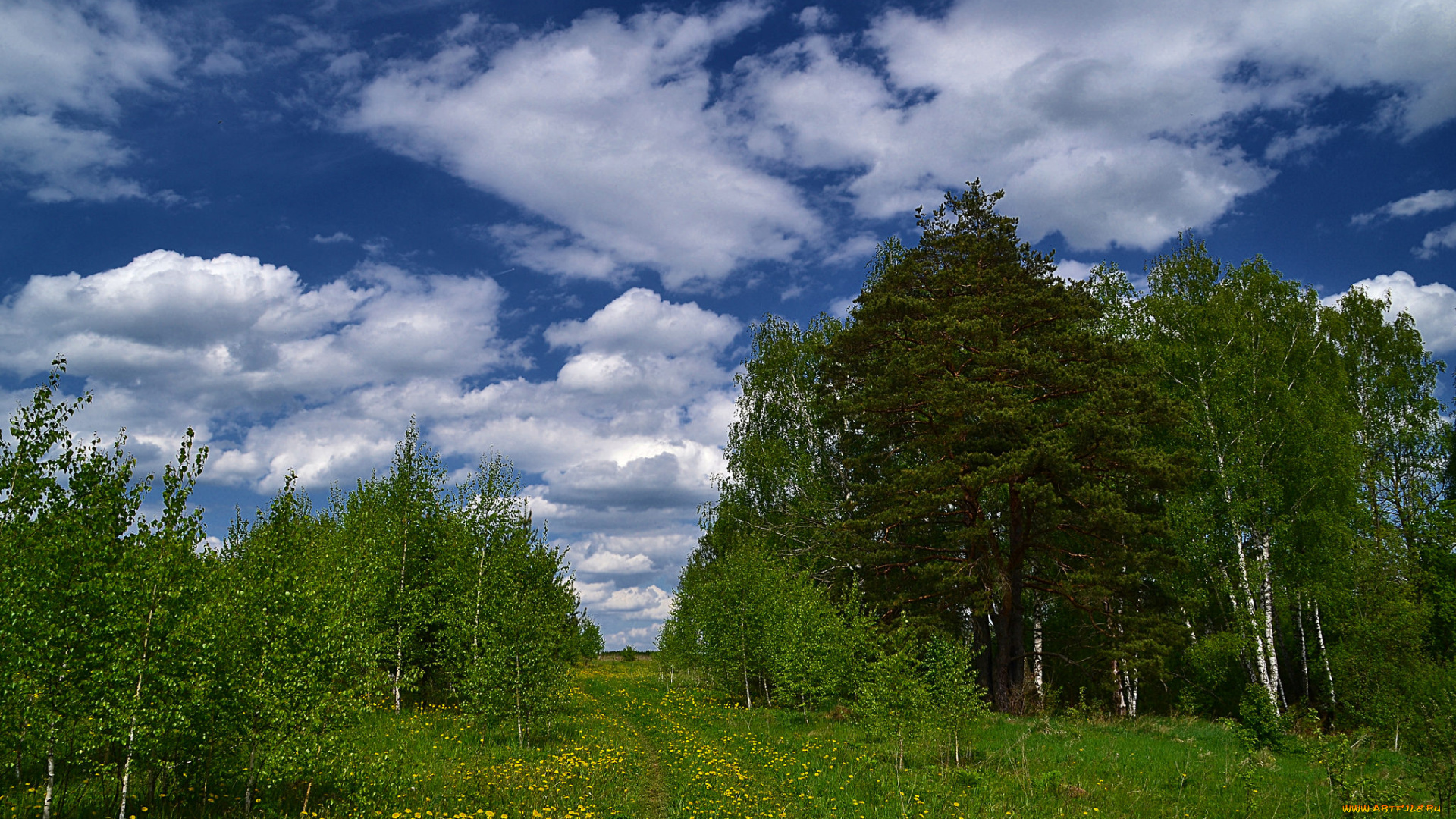 природа, пейзажи, простор