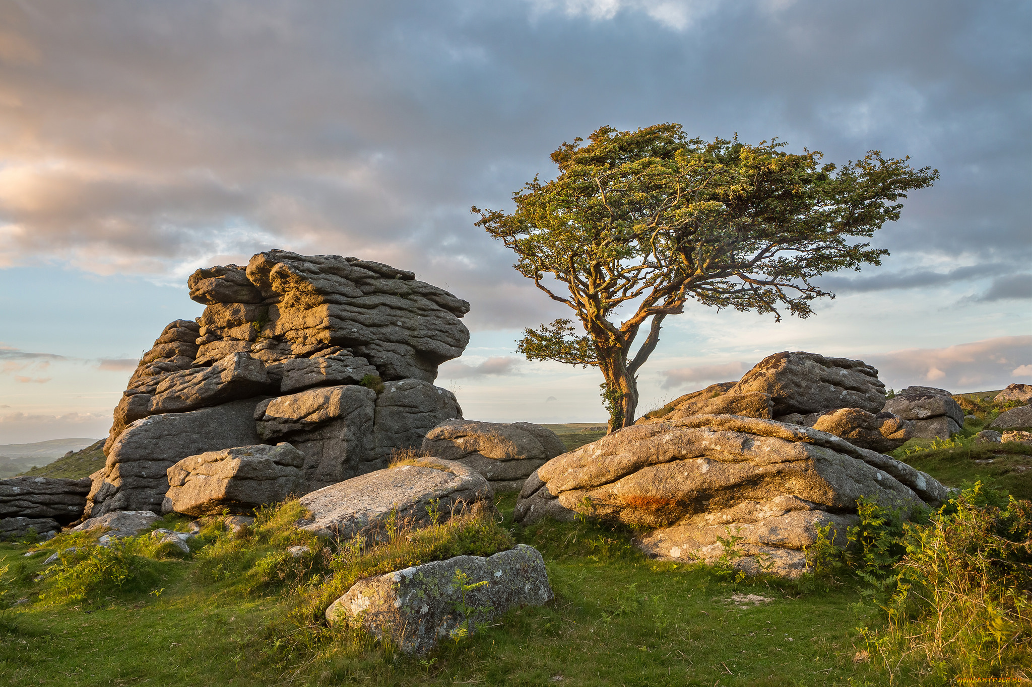 природа, пейзажи, простор