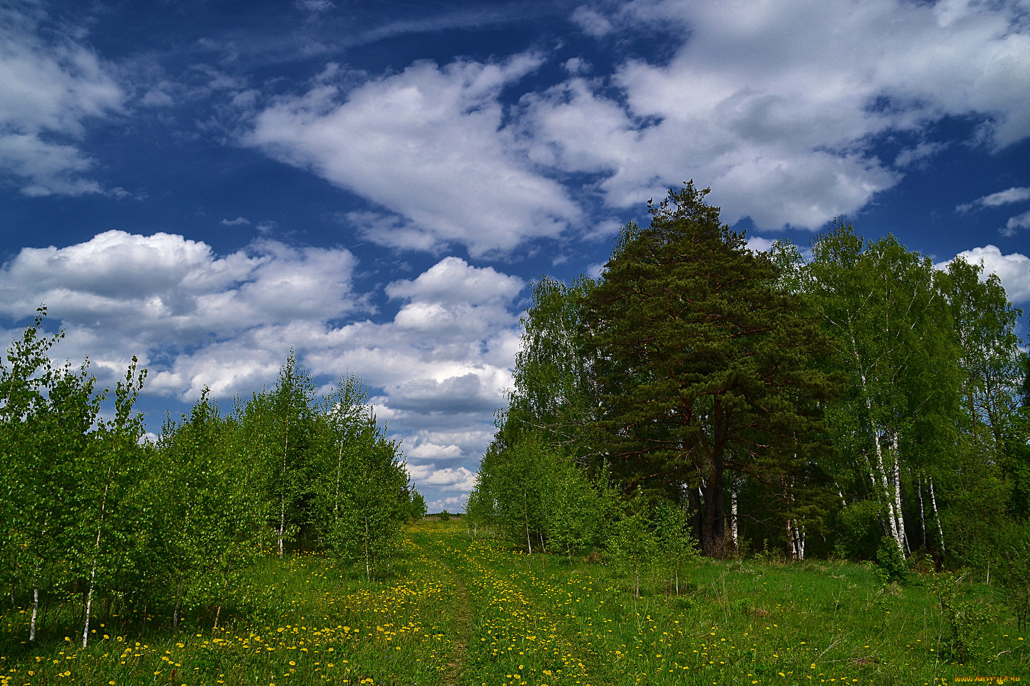 природа, пейзажи, простор