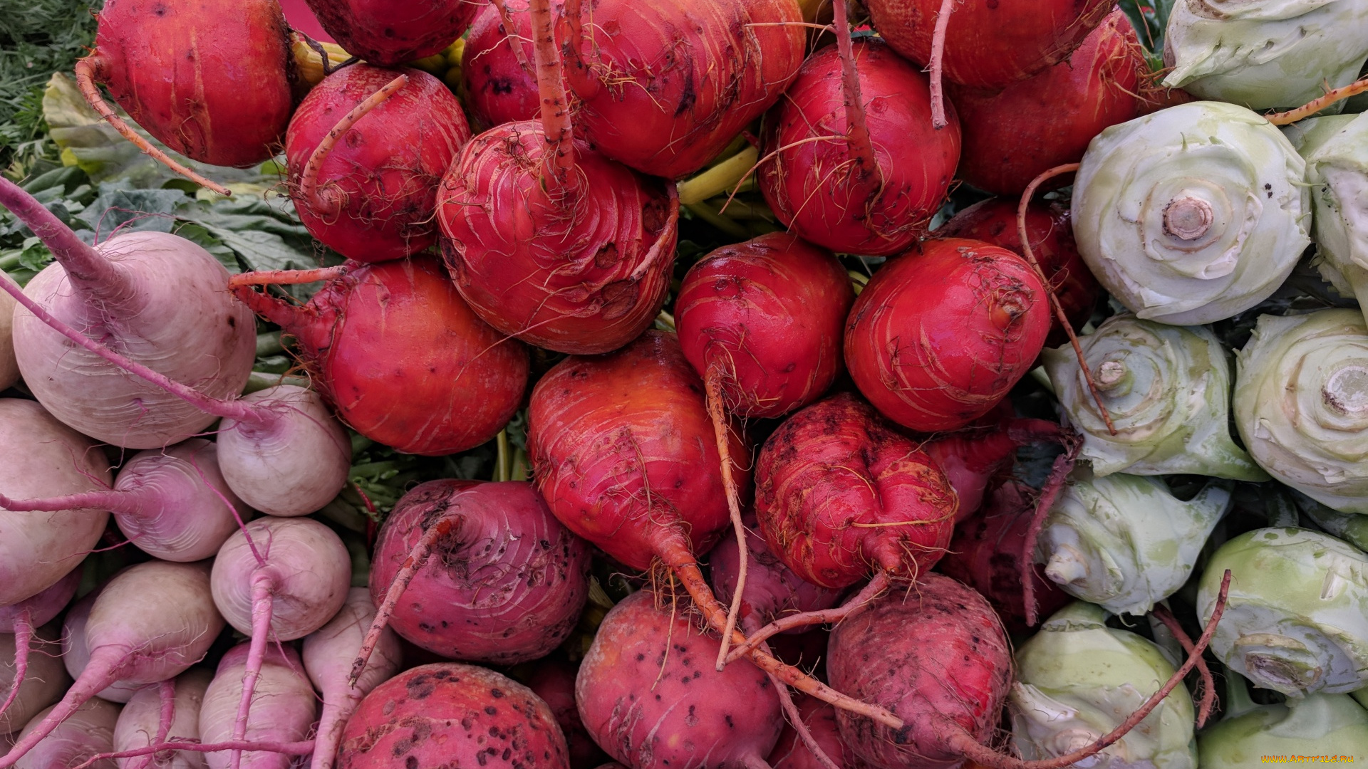 еда, овощи, кольраби, свекла
