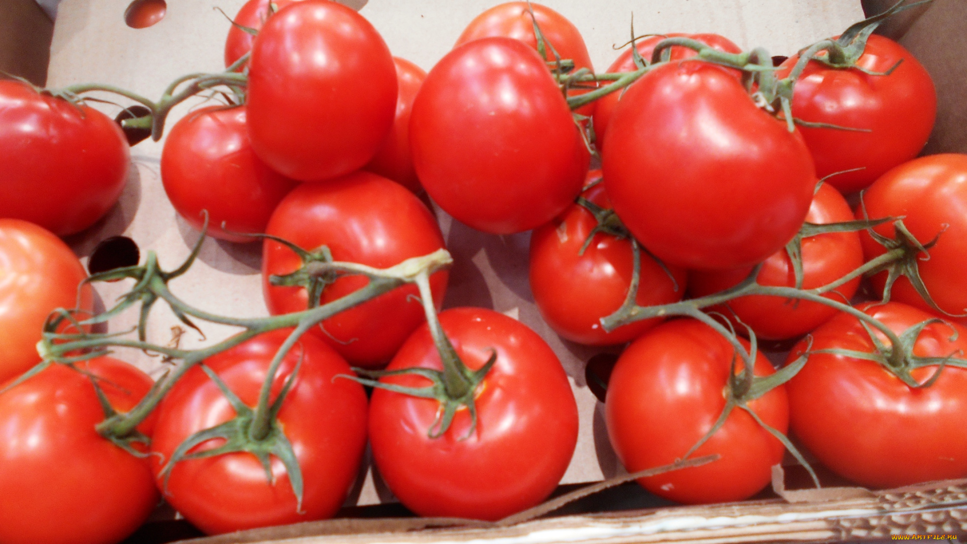 еда, помидоры, томаты