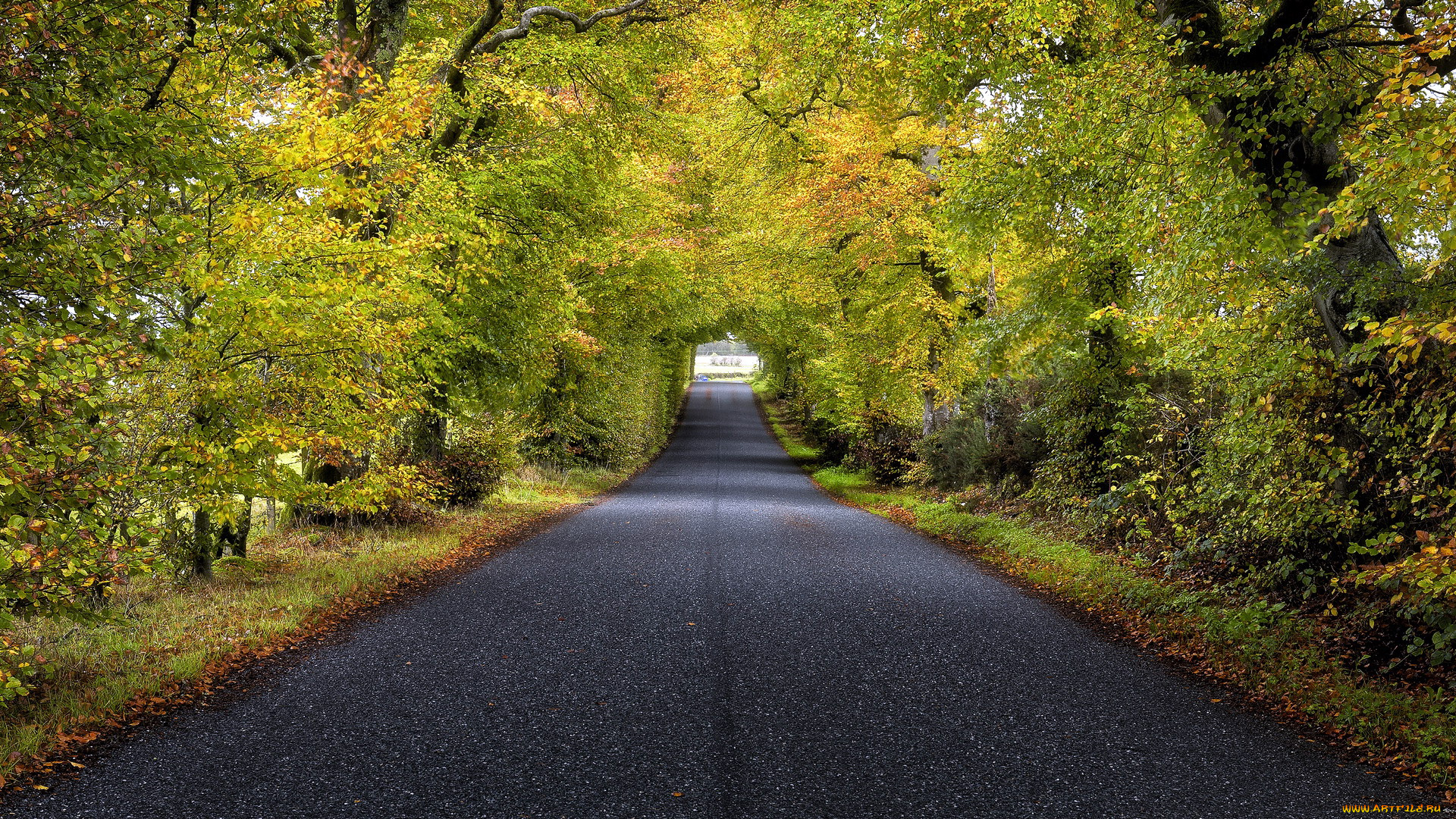 природа, дороги, шоссе