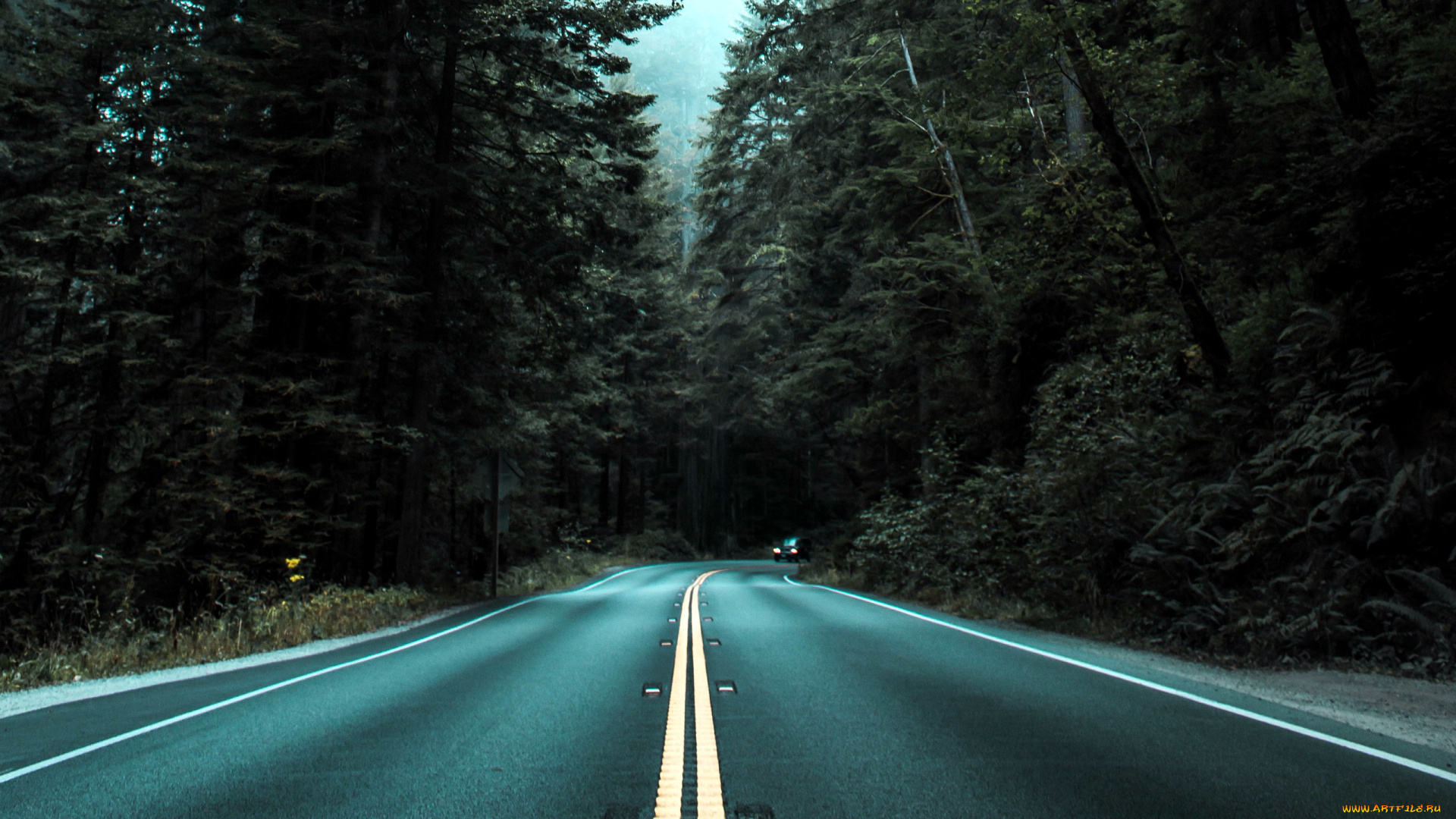 природа, дороги, шоссе