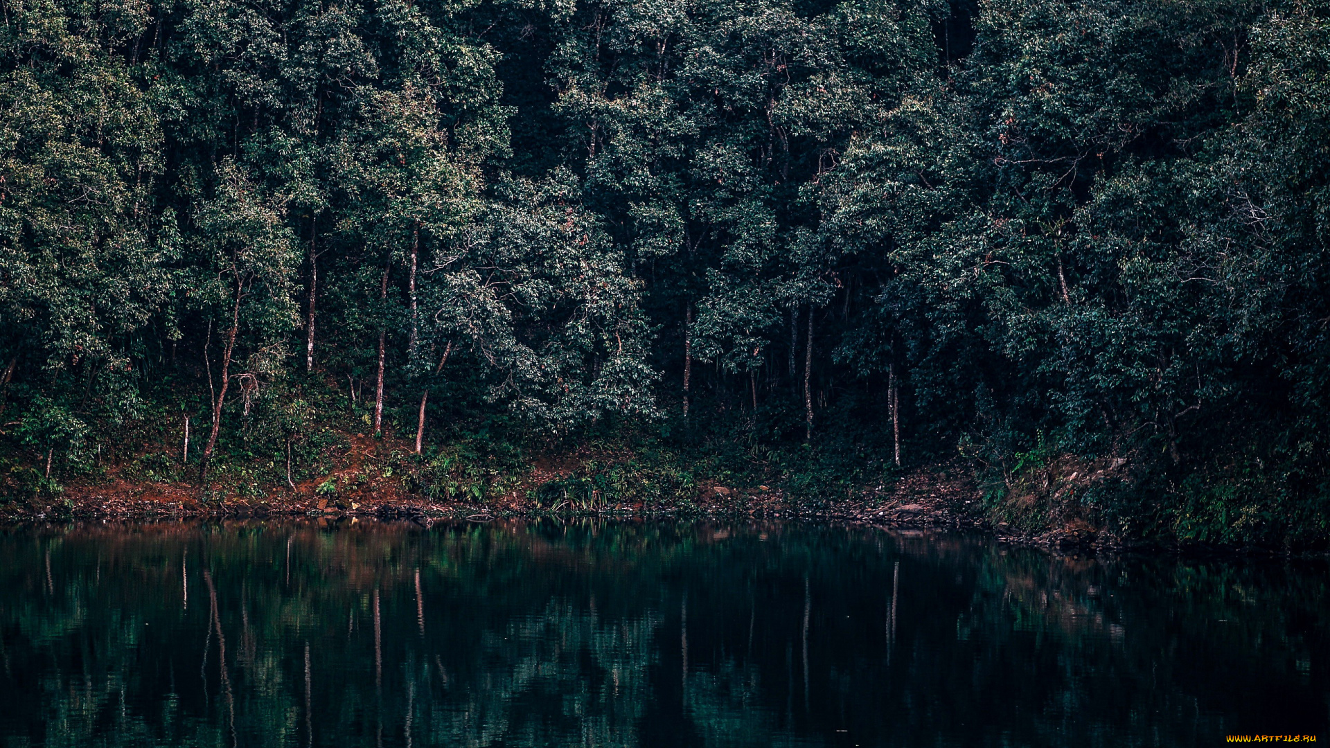 природа, реки, озера, деревья, вода, река, отражение