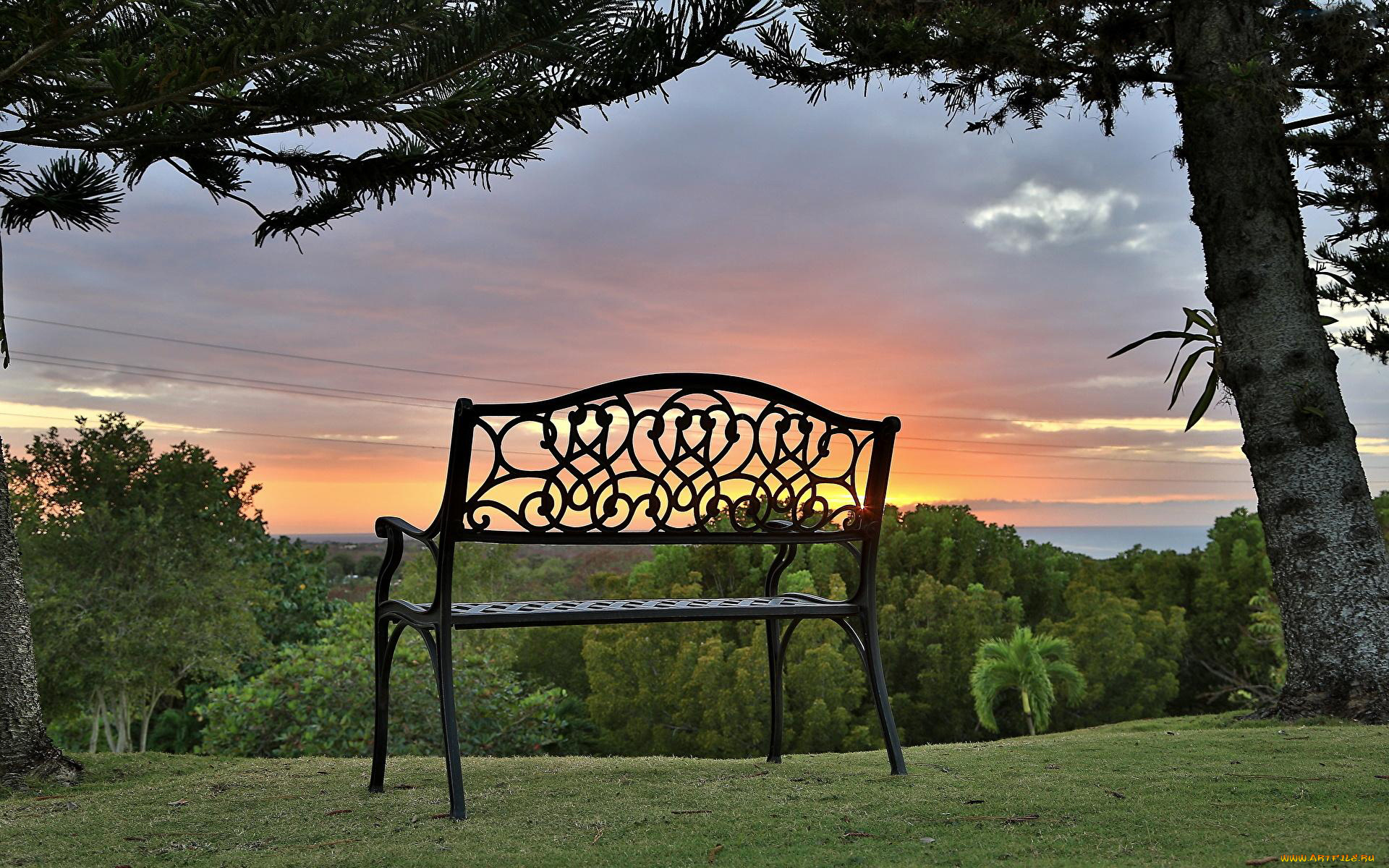 природа, парк, скамейка, деревья